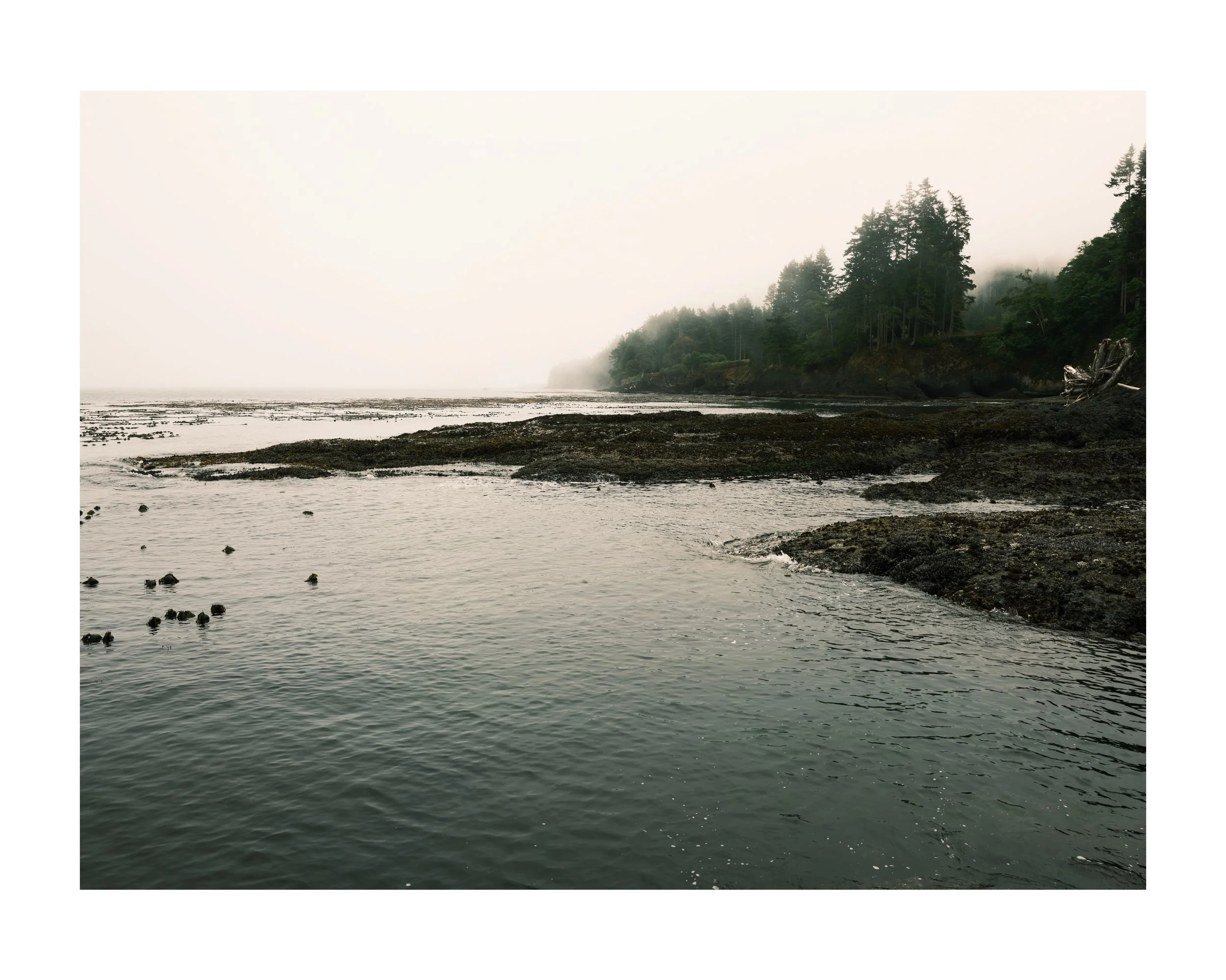 DSCF0578 79 Edited.jpeg