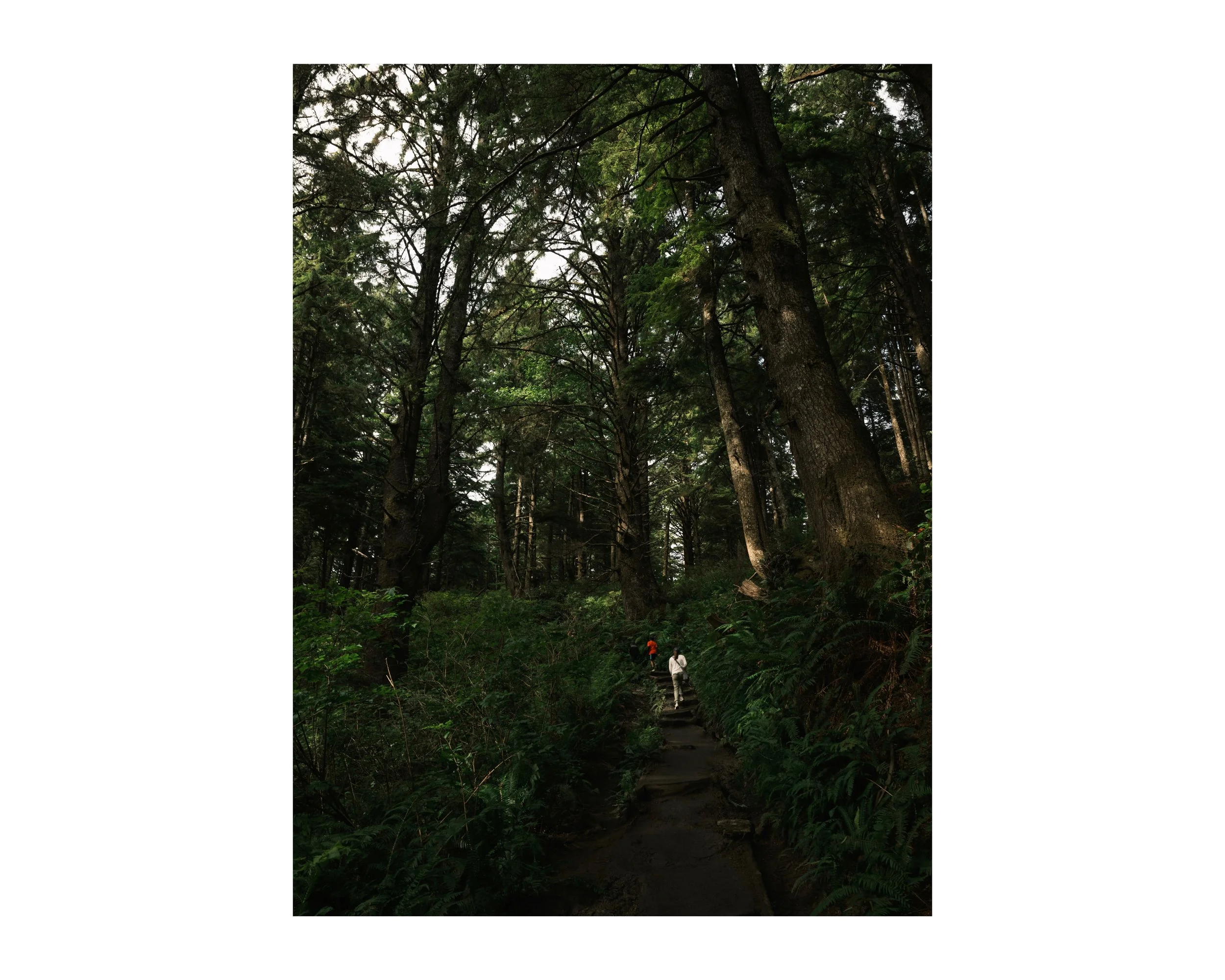 DSCF0653-2 96 Edited.jpeg