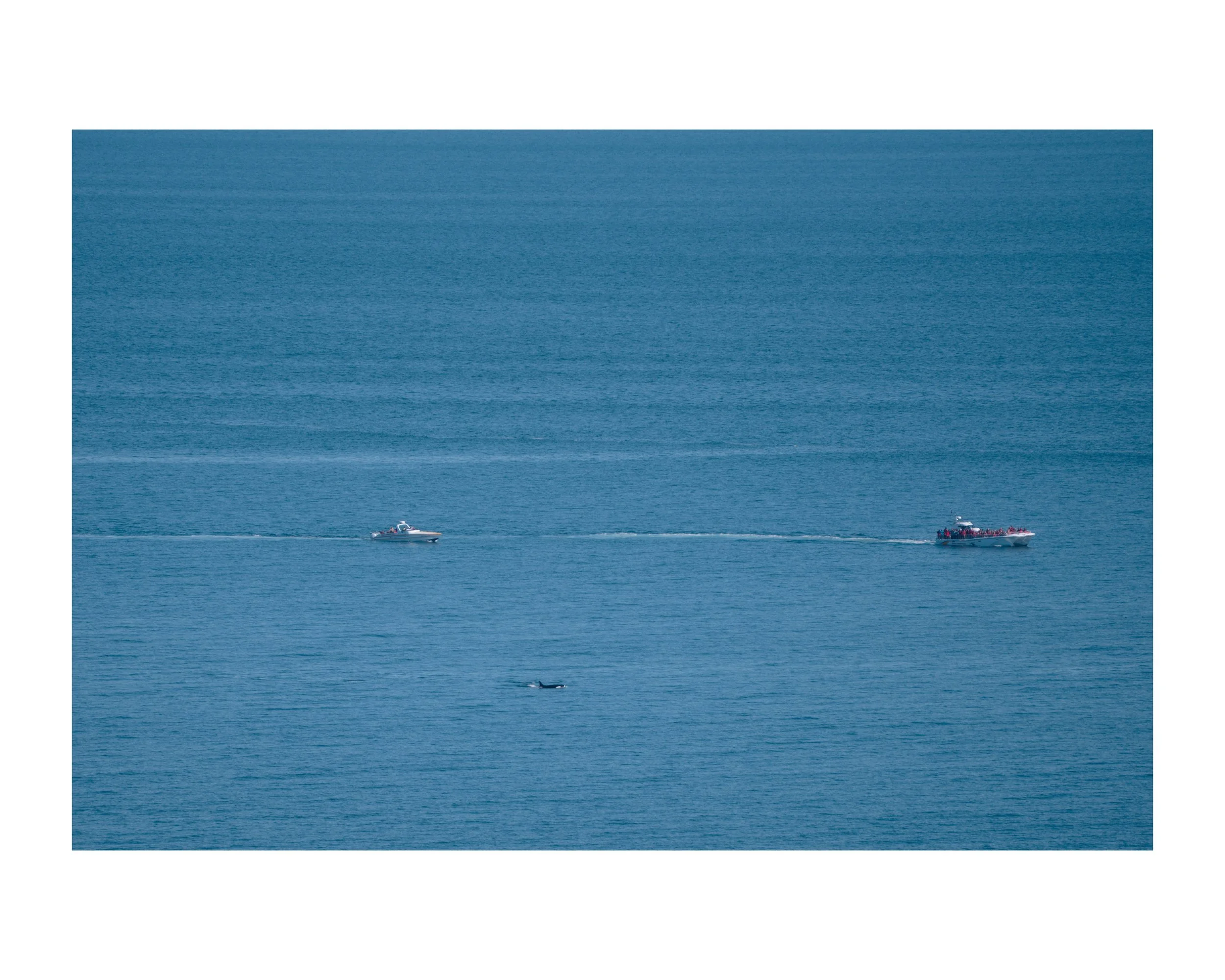 _DSC0653 51 Edited.jpeg