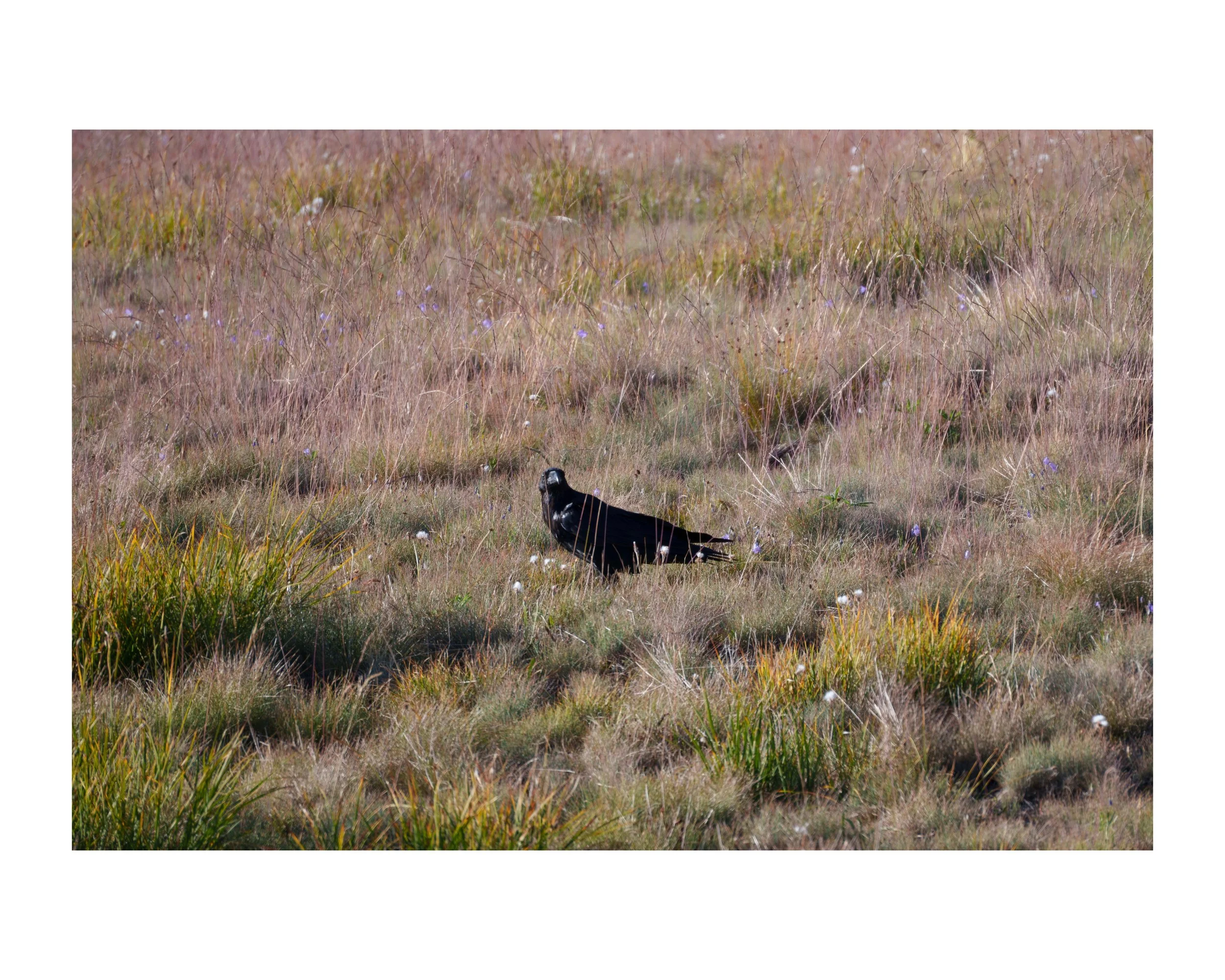 _DSC0749 104 Edited.jpeg