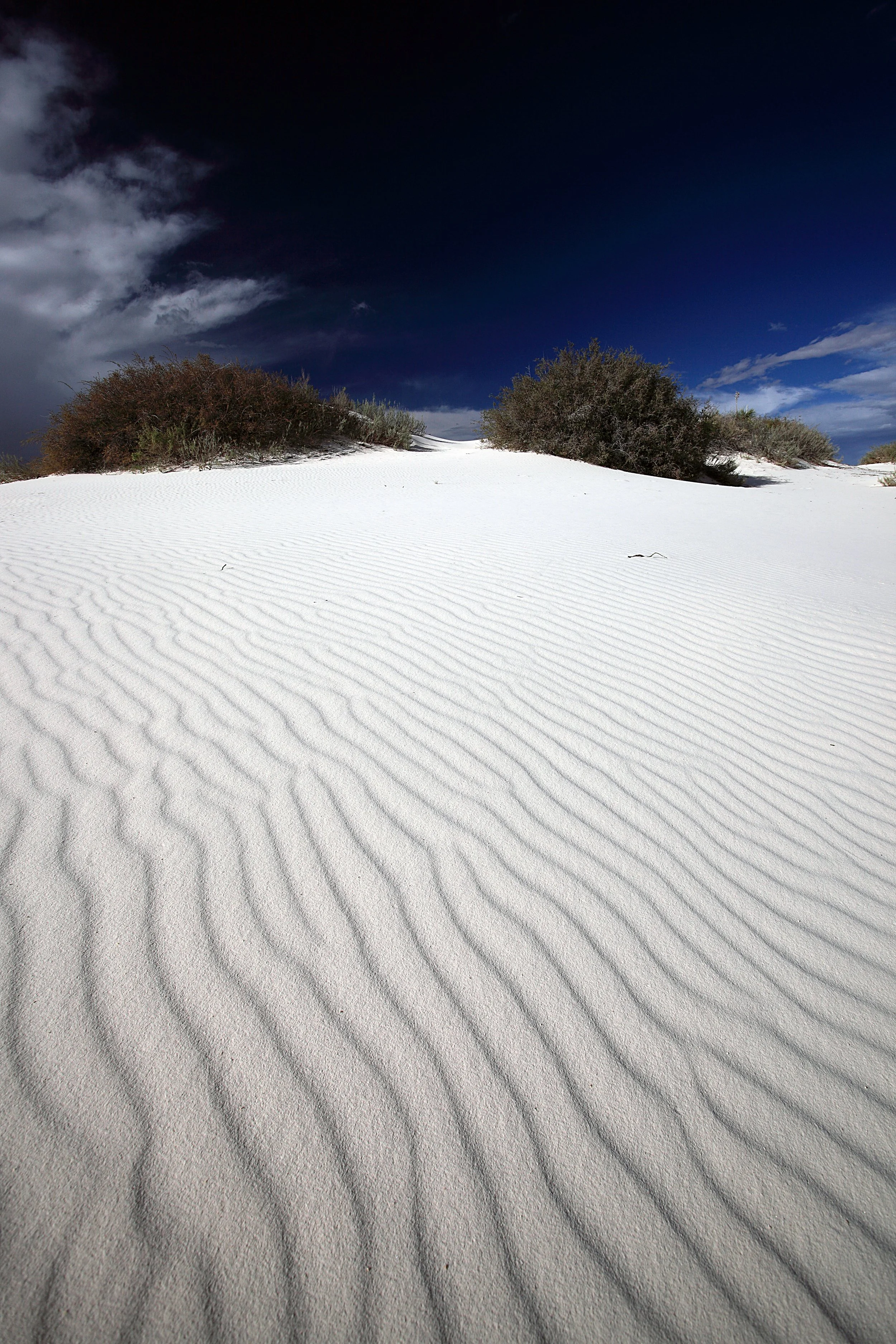 White Sands 050.jpeg