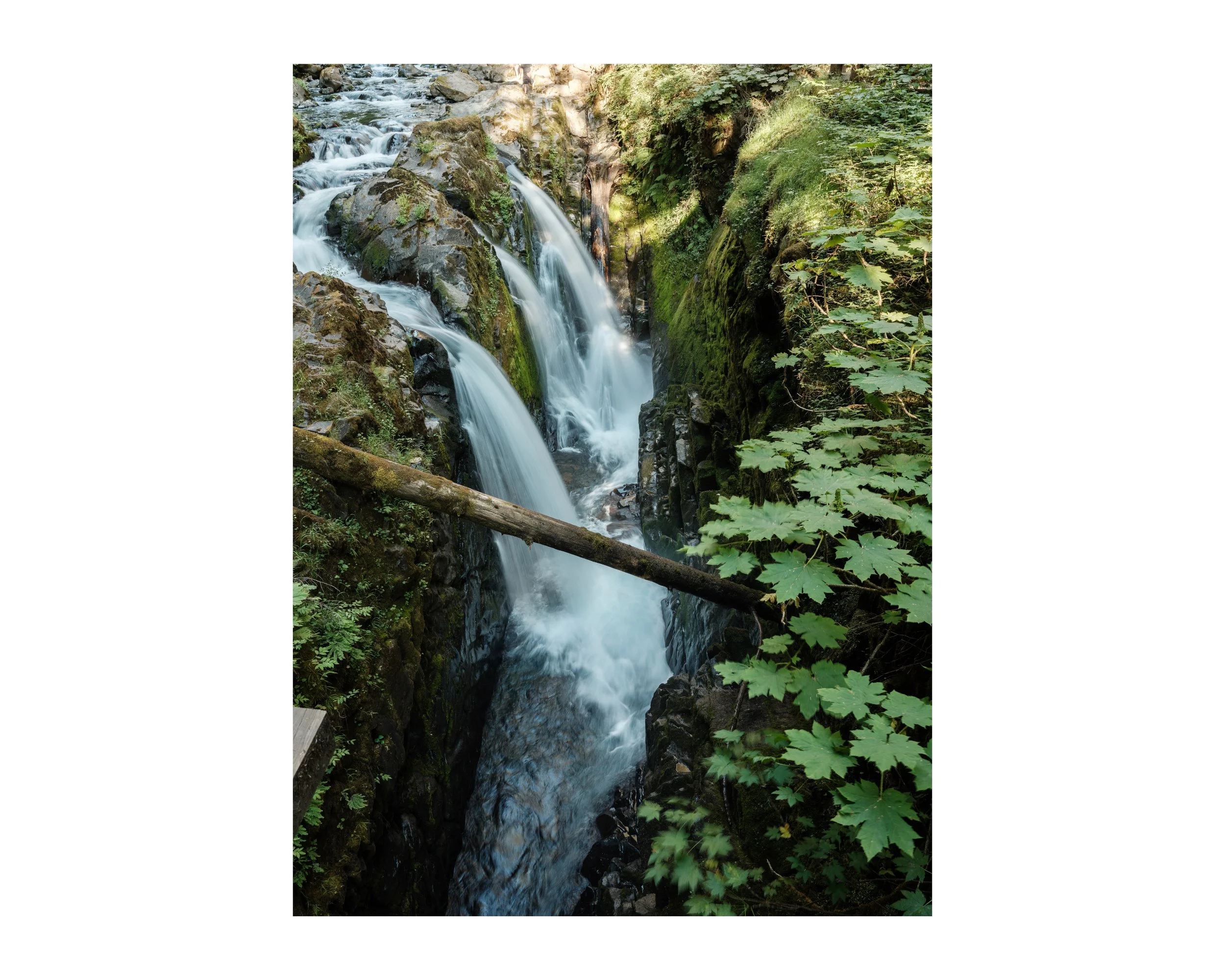 DSCF0425 64 Edited.jpeg