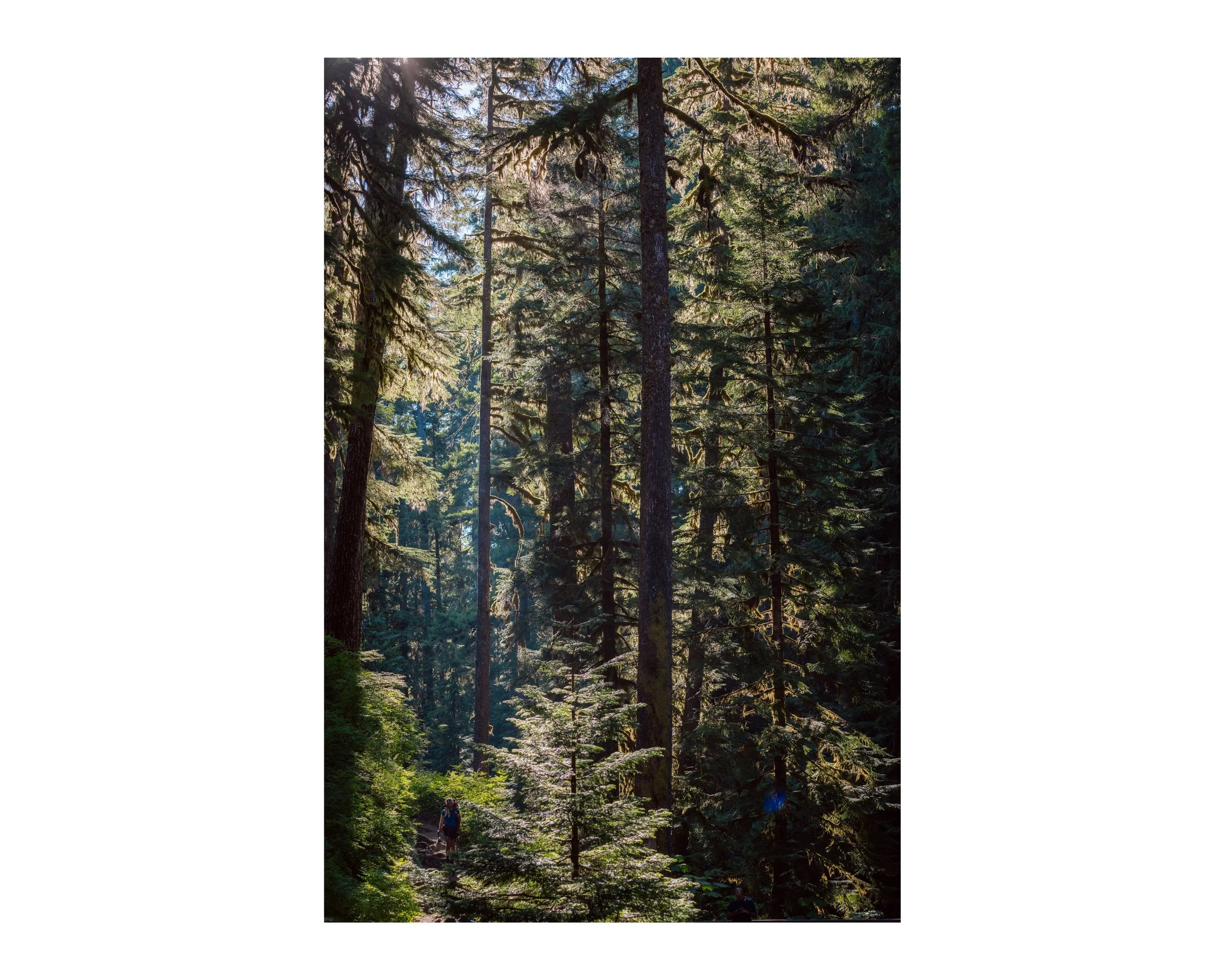 _DSC0668 63 Edited.jpeg