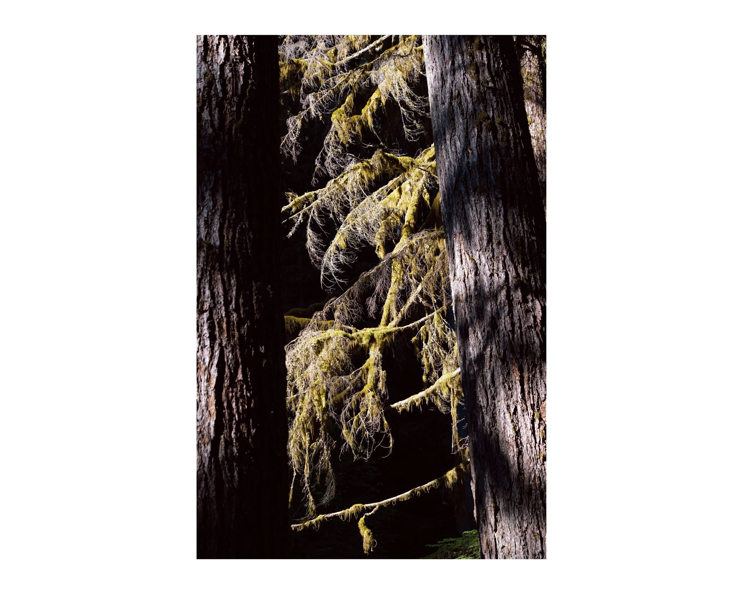 _DSC0665 62 Edited.jpeg