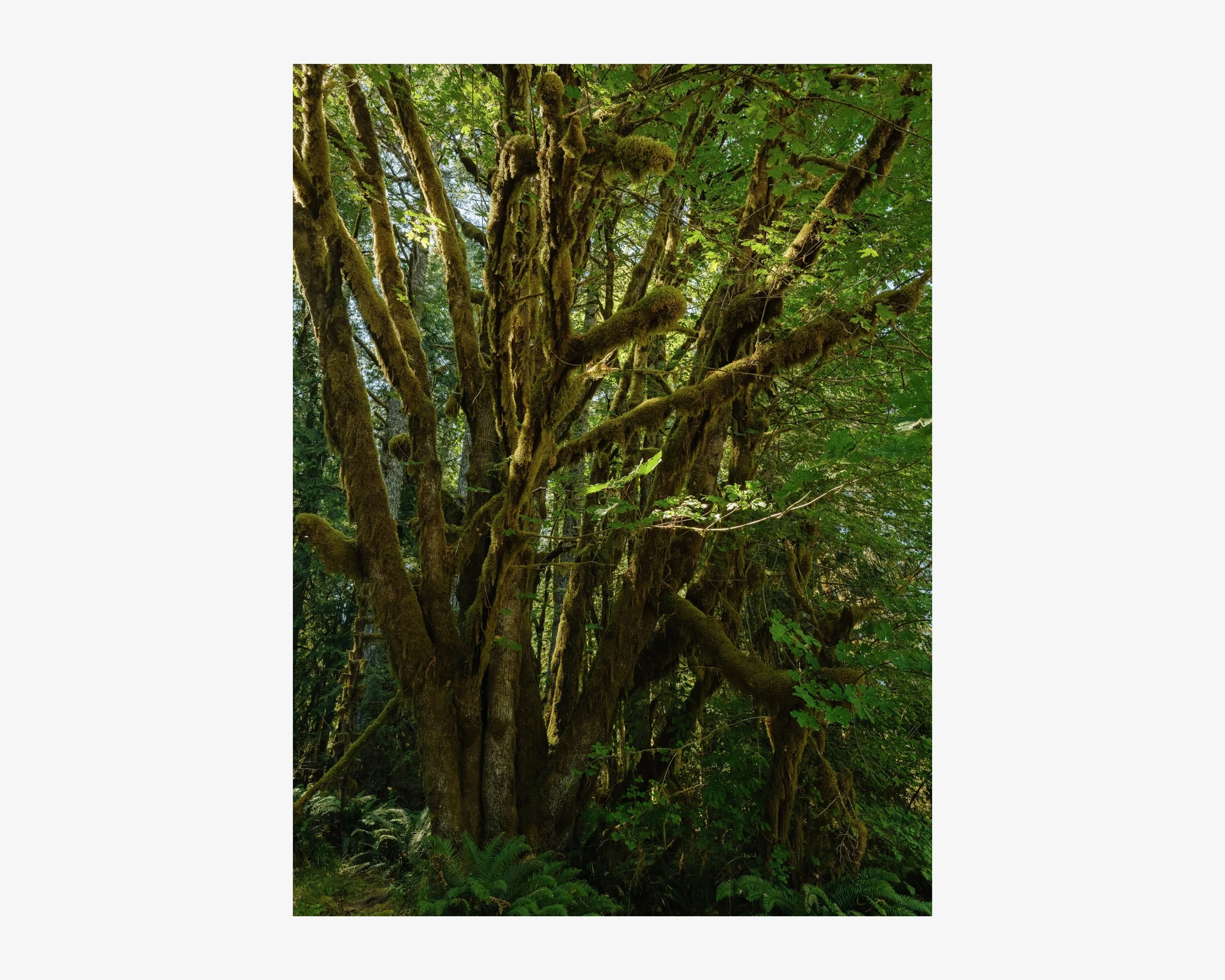 DSCF0344 56 Edited.jpeg