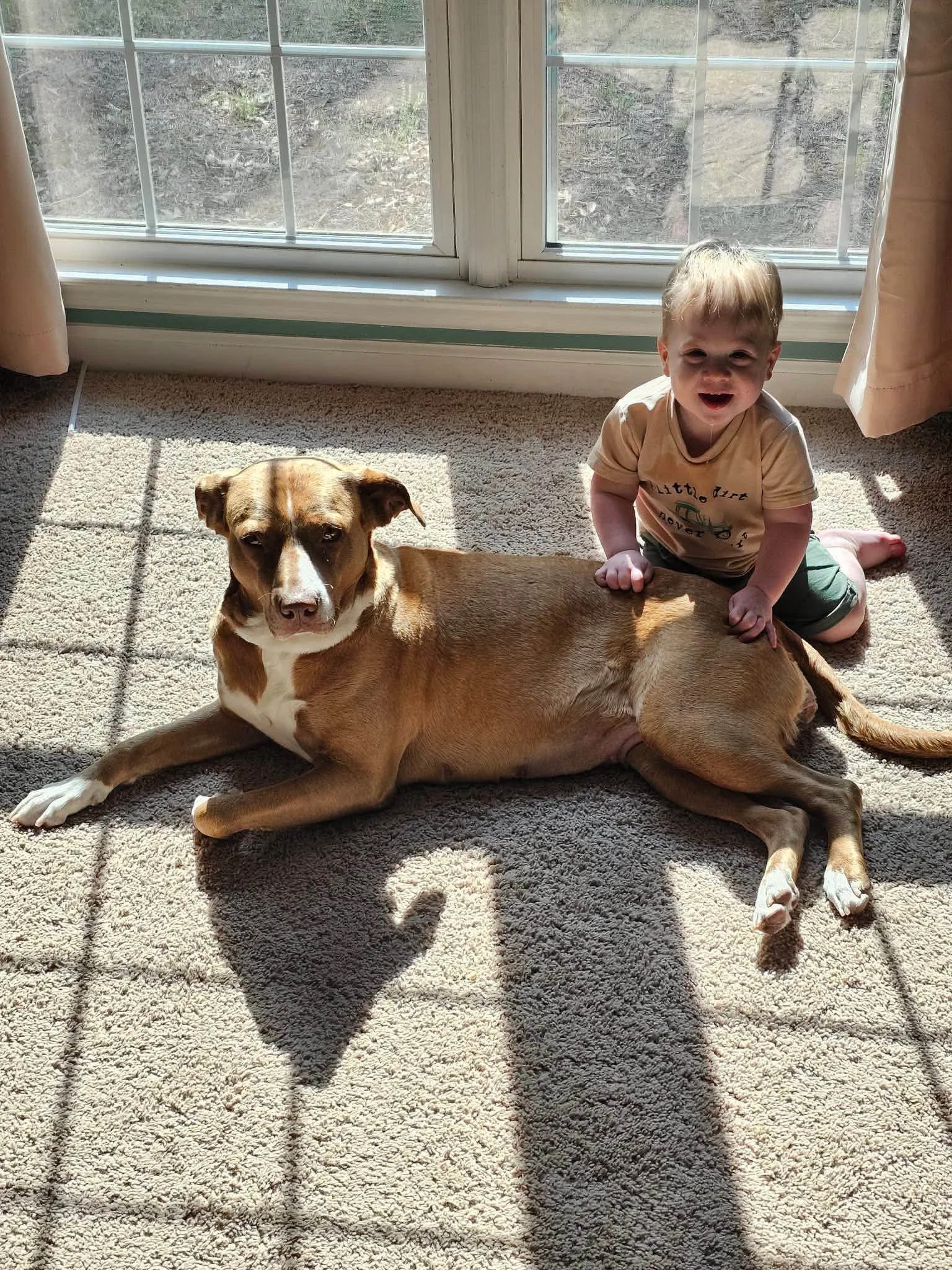 notorious-dog-rescue-rosie-08.jpg