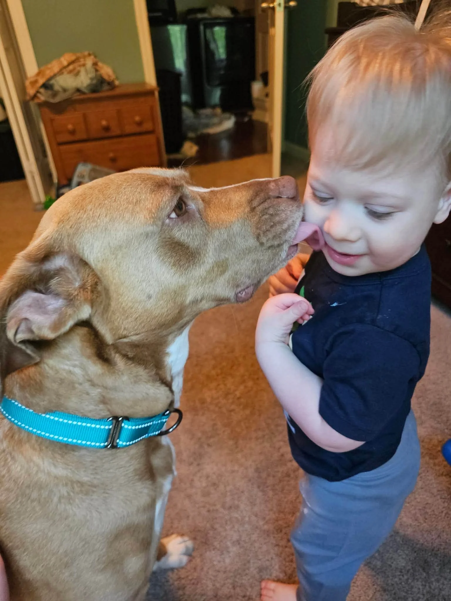 notorious-dog-rescue-rosie-09.jpg