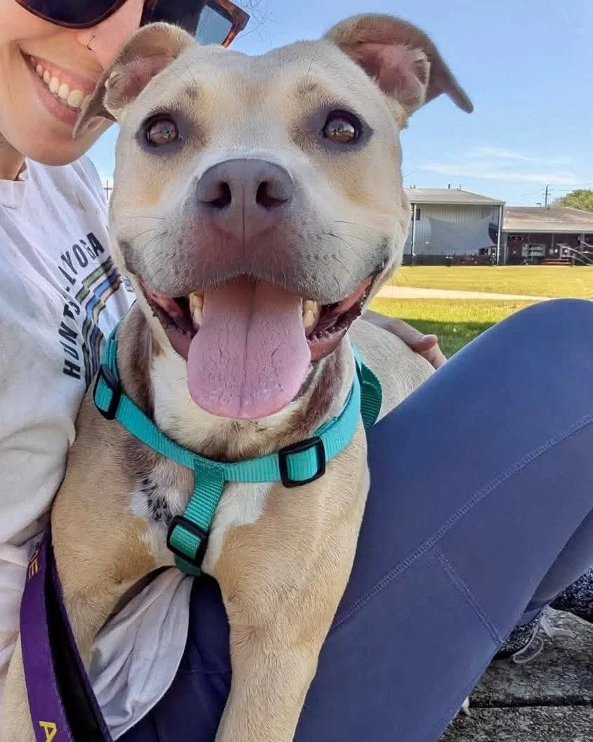 notorious-dog-rescue-arya-02.jpg