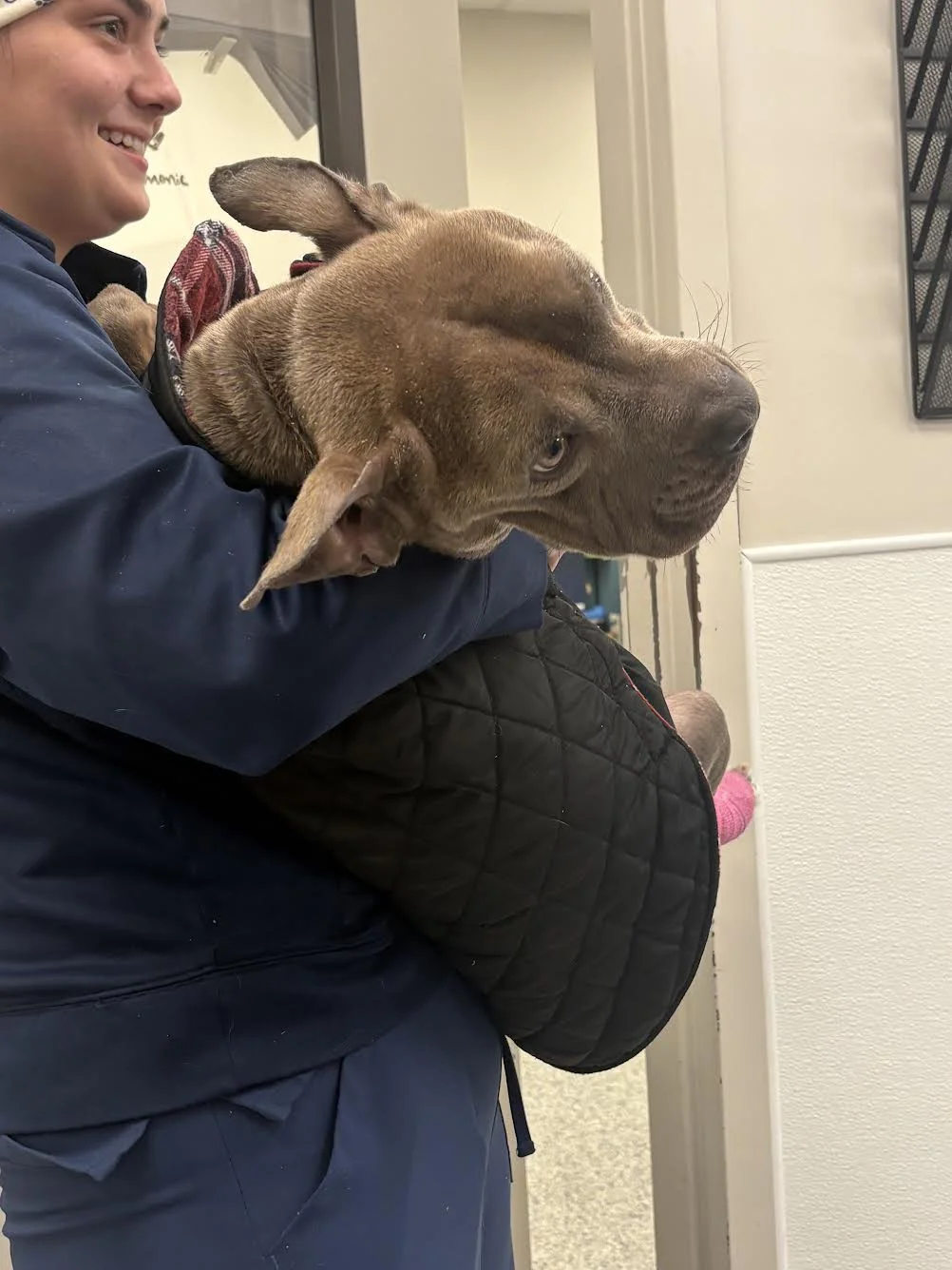 notorious-dog-rescue-friday-06.jpg