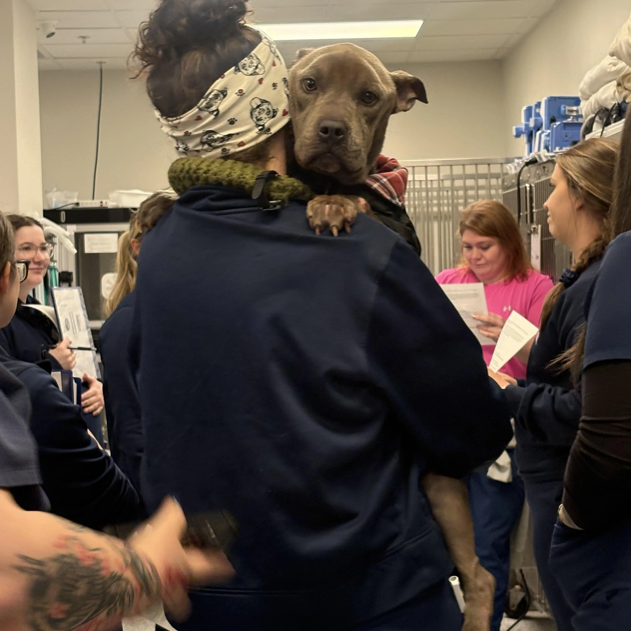 notorious-dog-rescue-friday-07.jpg