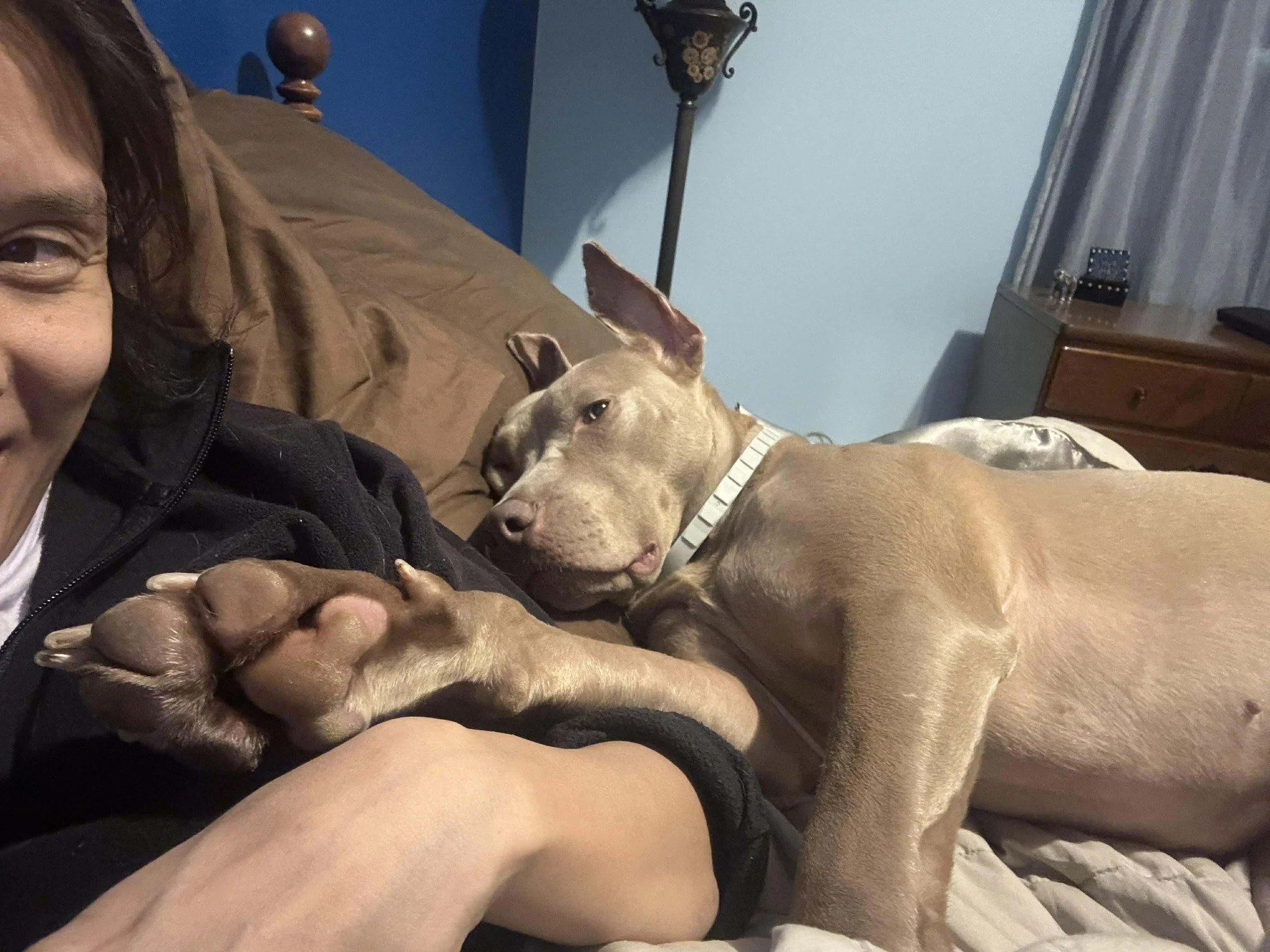 notorious-dog-rescue-hazel-12.jpg