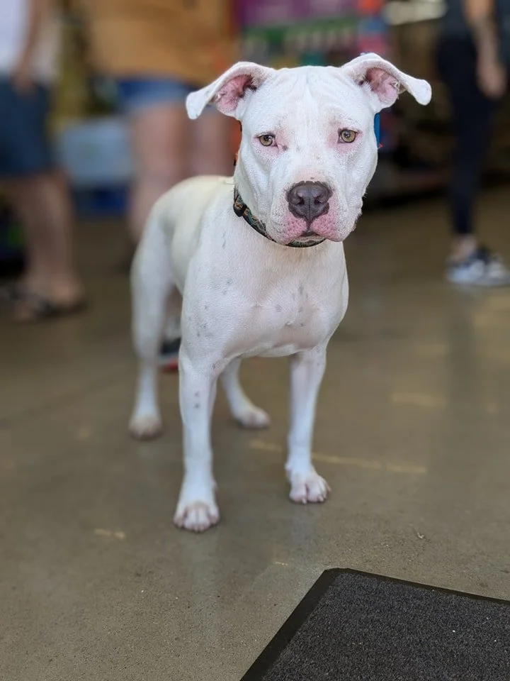 Marilyn