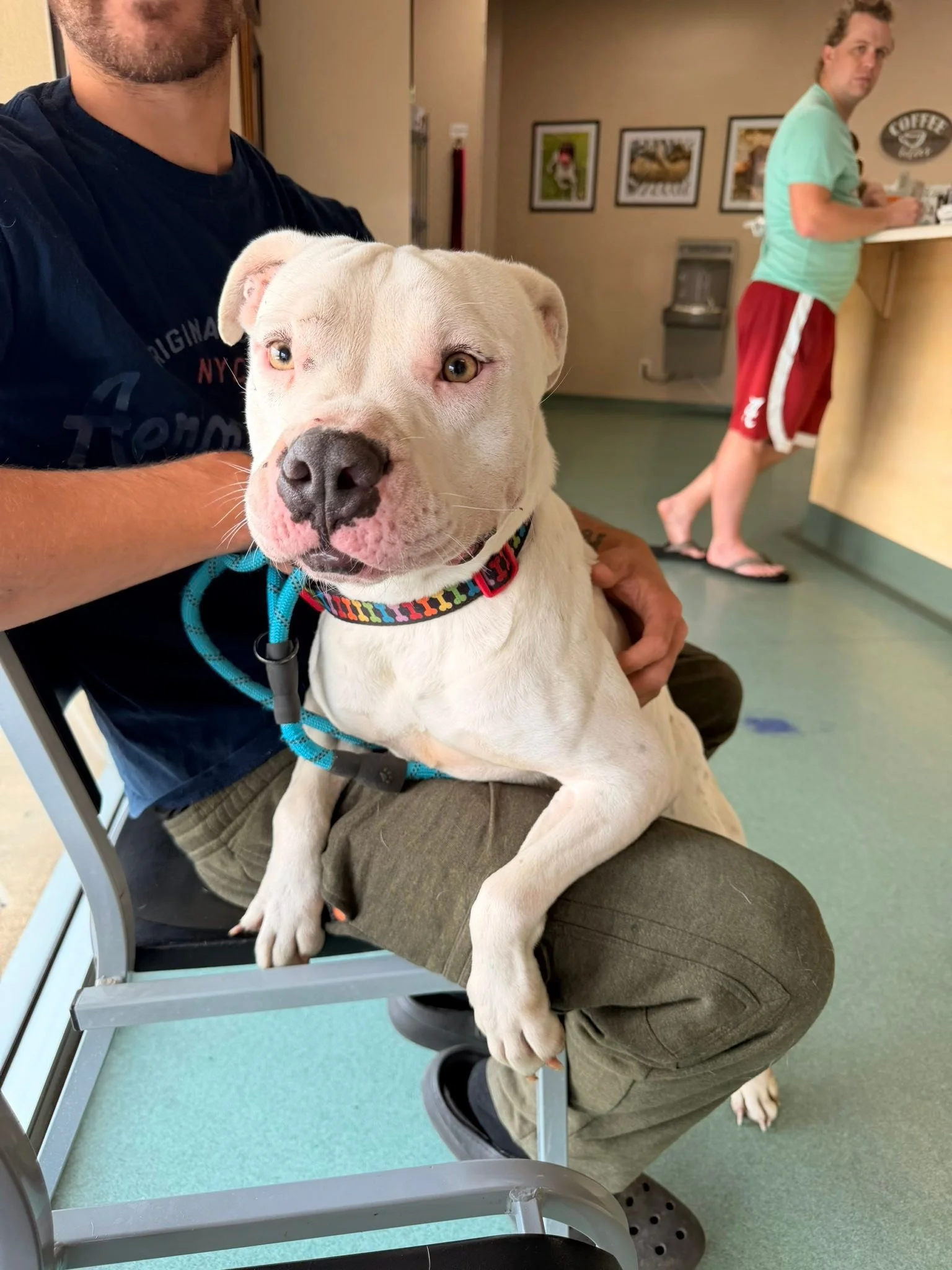 notorious-dog-rescue-marilyn-10.jpg