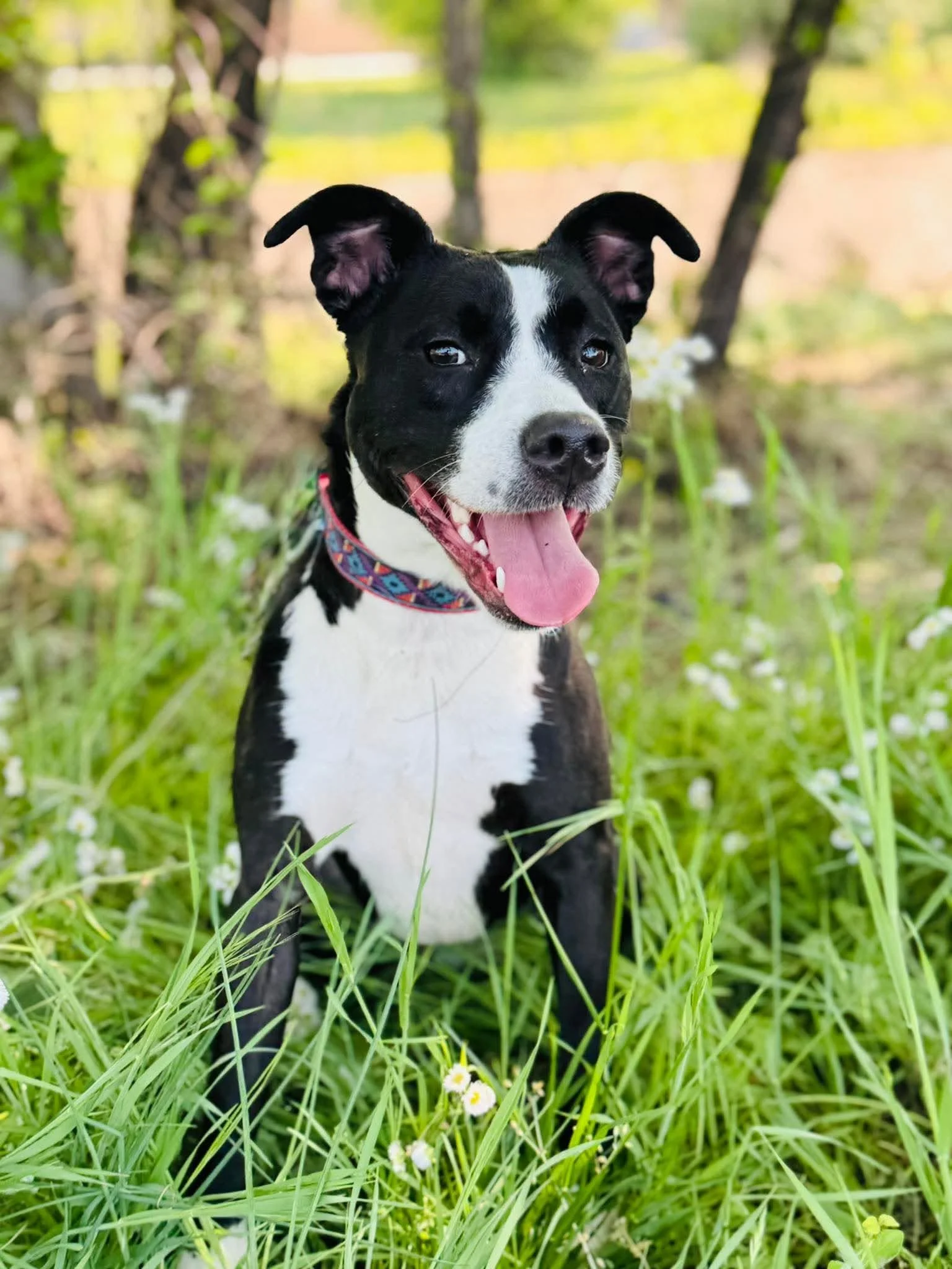 Sara