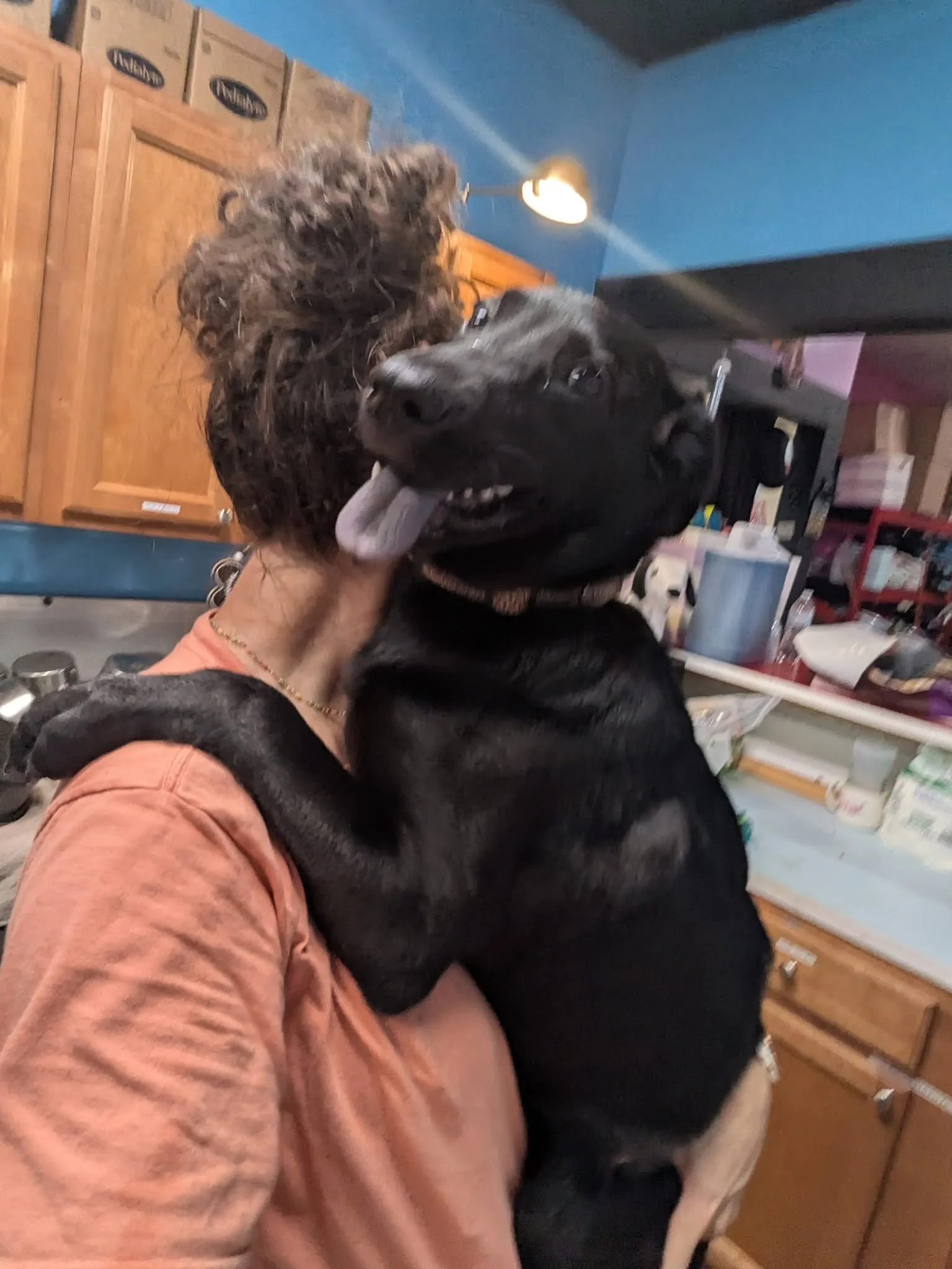 notorious-dog-rescue-willa-05.jpg