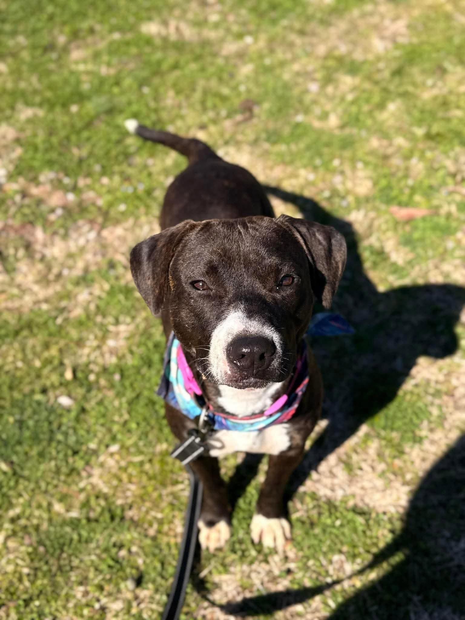 Lucy