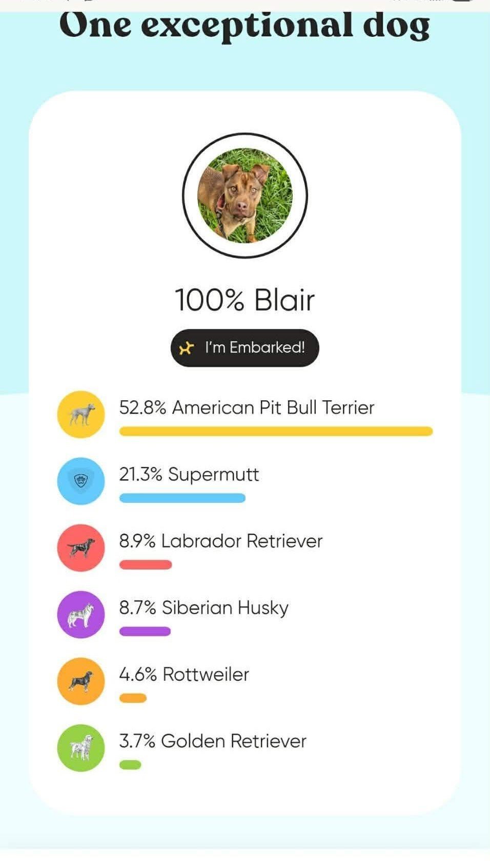 notorious-dog-rescue-blair-dna.jpg