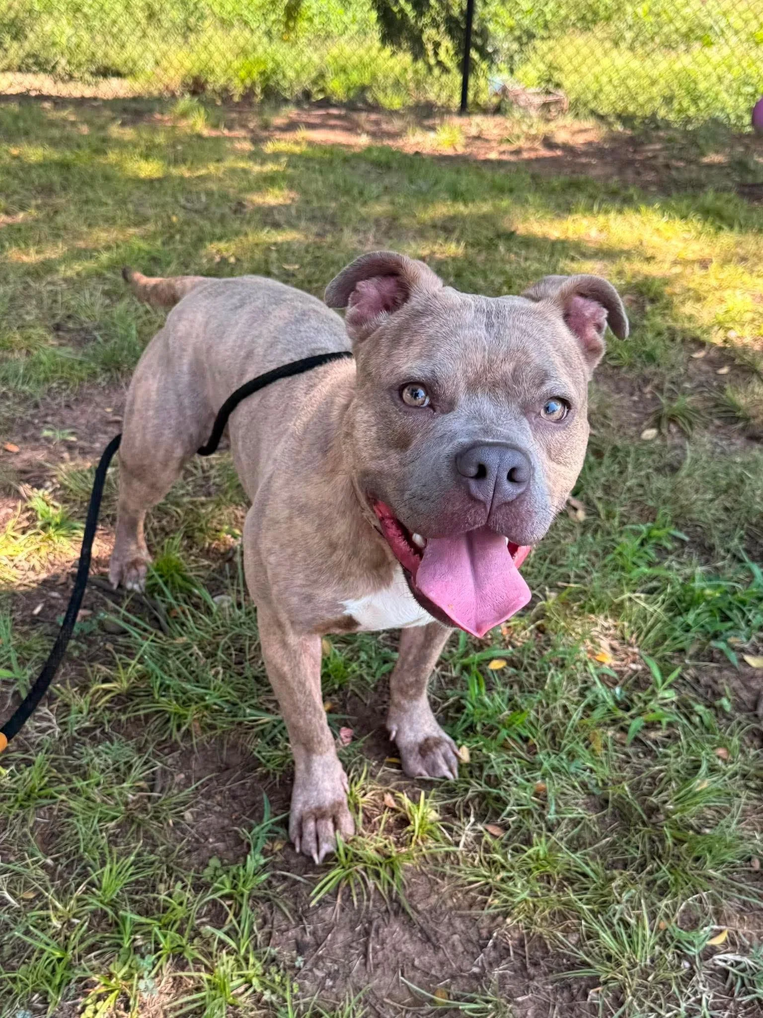Tilly