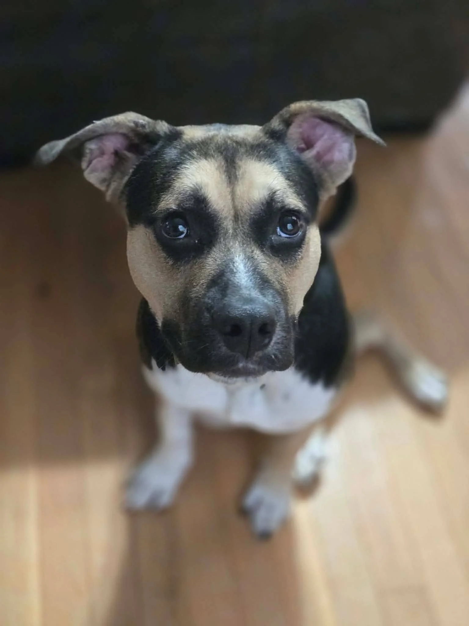 Whiskey