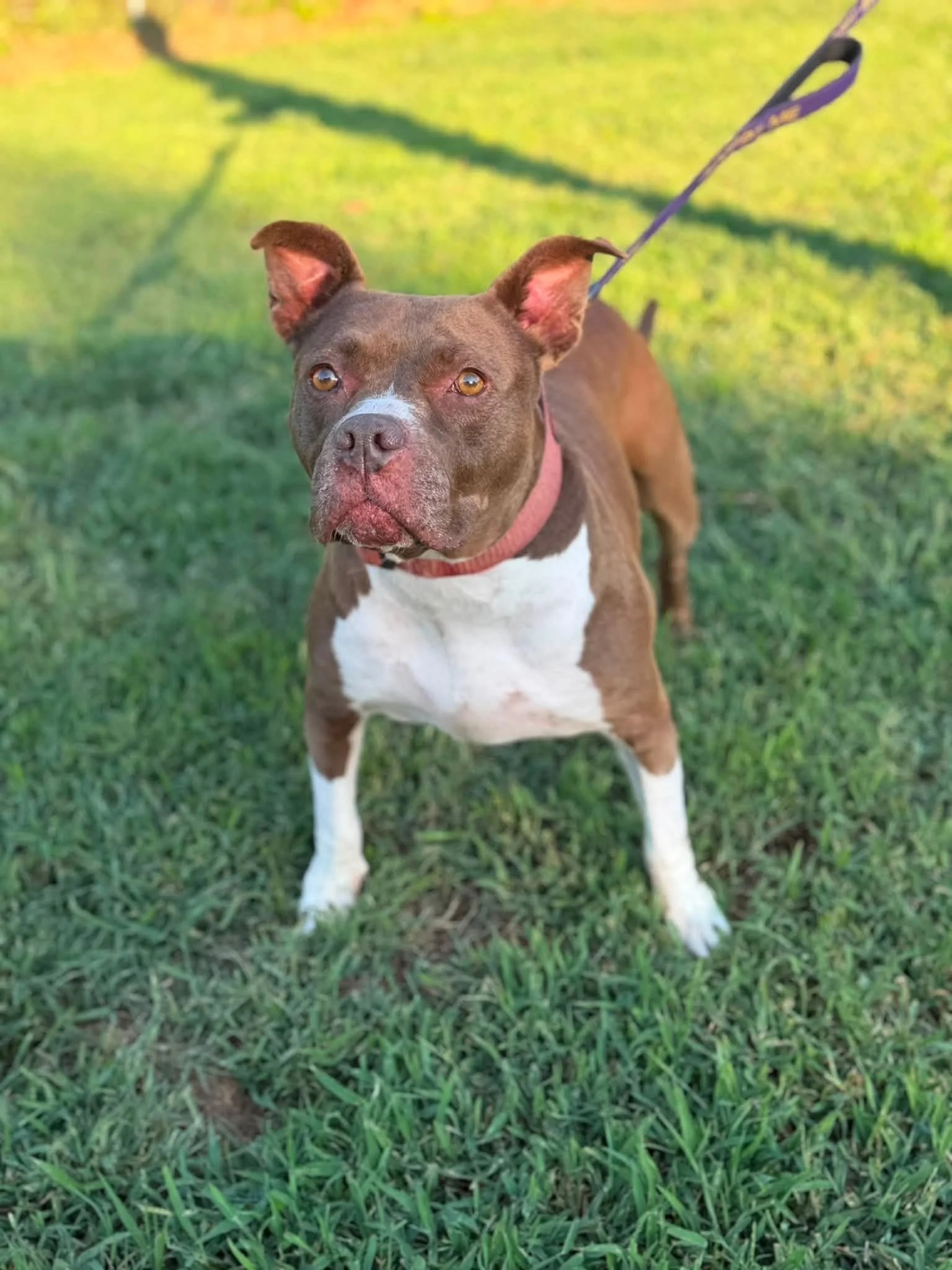 Coco