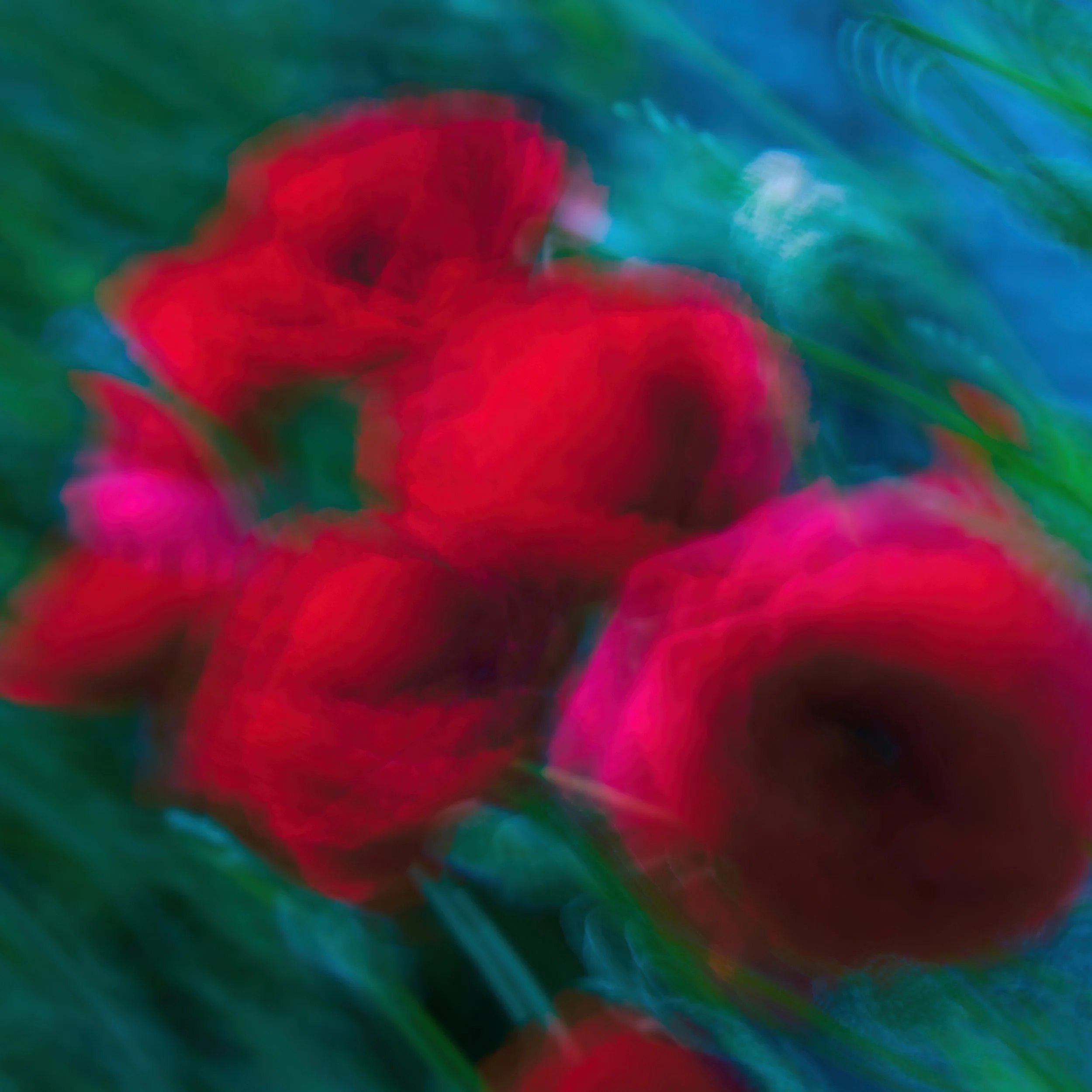 DSC_7735 1 Kopie.jpeg