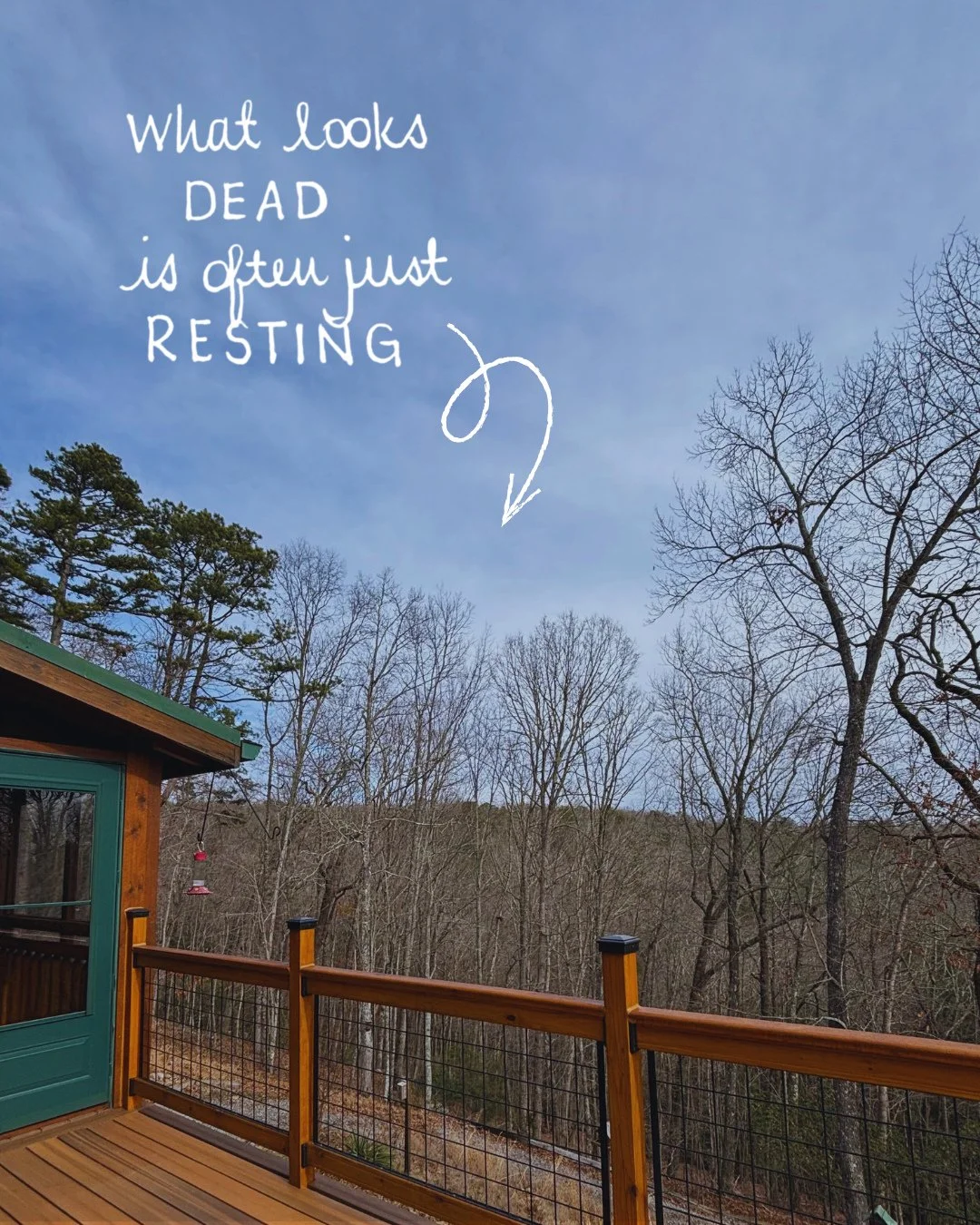 It would be easy to assume nothing is happening with these bare trees here at Deep Woods Refuge. But what looks dead is just resting&hellip; and I really need that encouragement right now.⁠
⁠
Because beneath that seemingly lifeless surface, roots are