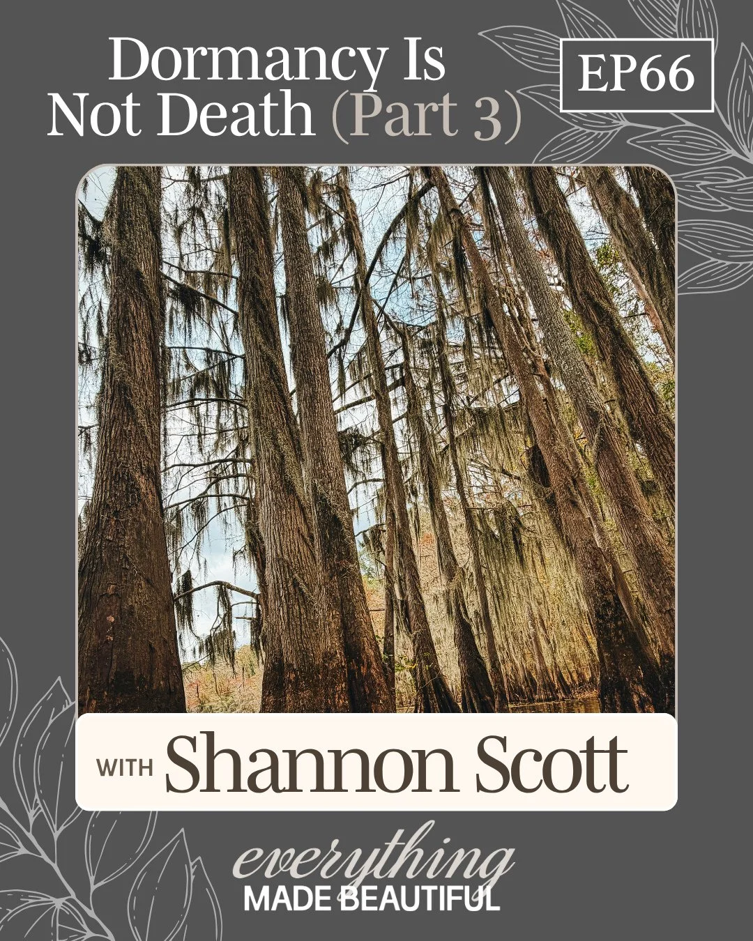 In the same Southern landscape, two completely different plants reside. ⁠
⁠
And between them is a picture of the full range of what can happen to a soul.⁠
⁠
One rests. One consumes. One receives from the air around it, and one covers everything it cl