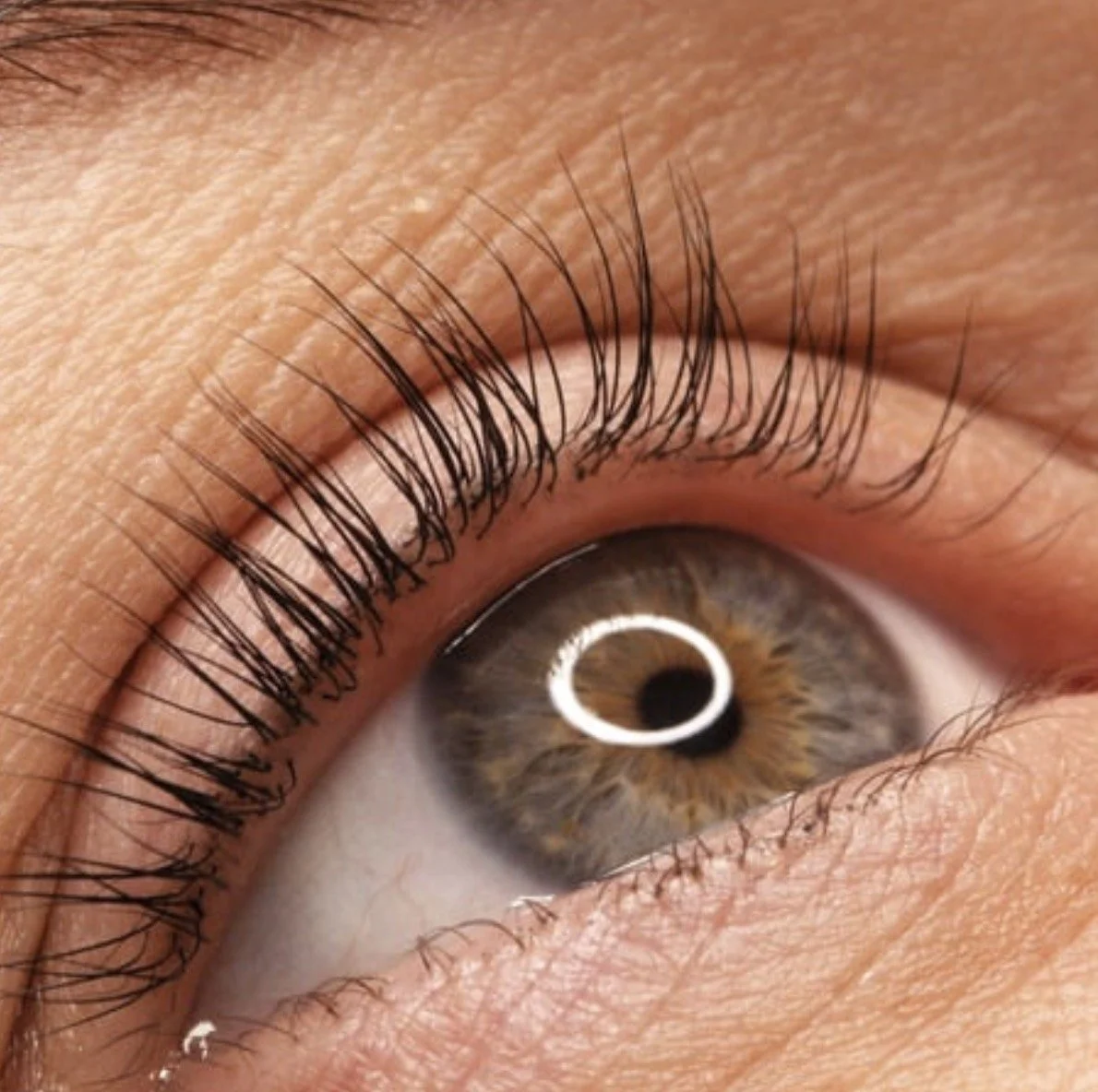 Rehaussement des cils (Lashlift)