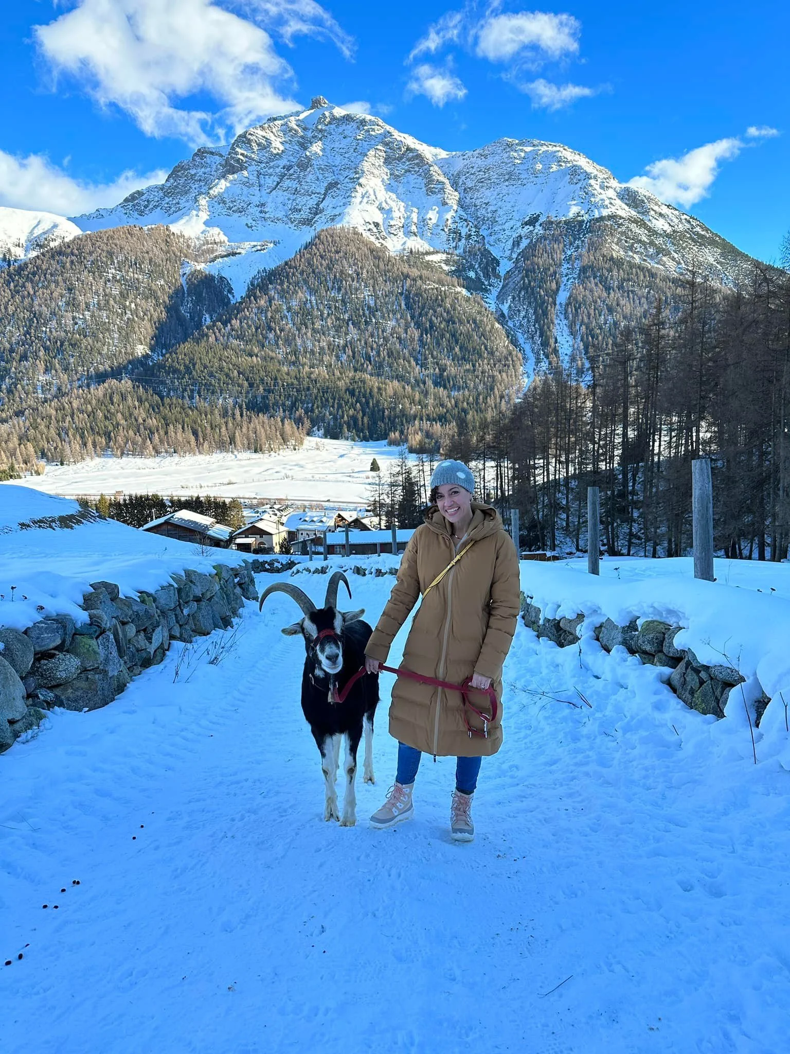Writer Bianca Bujan hiking with goats in Switzerland.