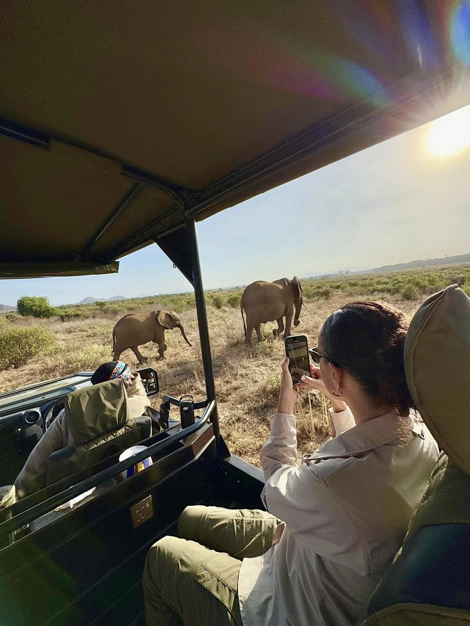 A person taking a photo of elephants with a phone inside a safari vehicle in a savannah landscape.