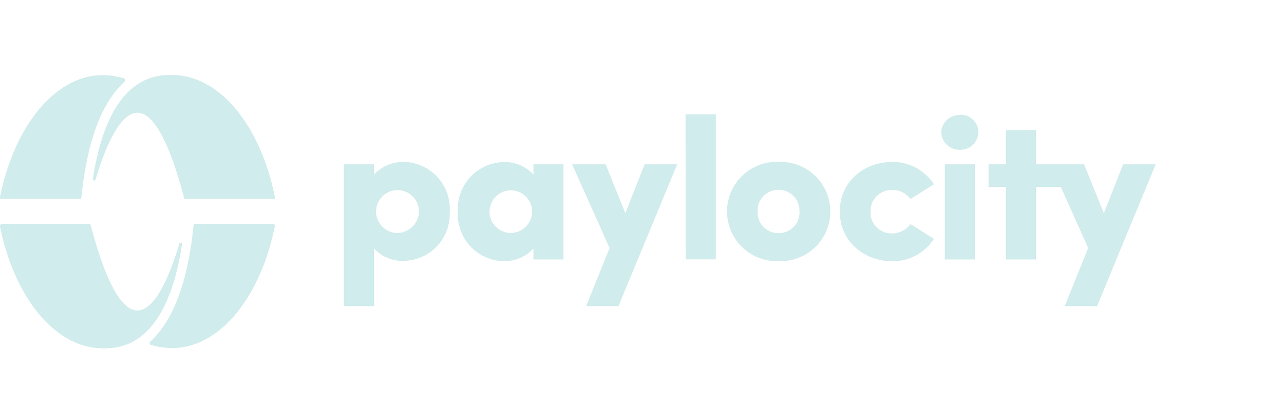 IPP Partner Paylocity