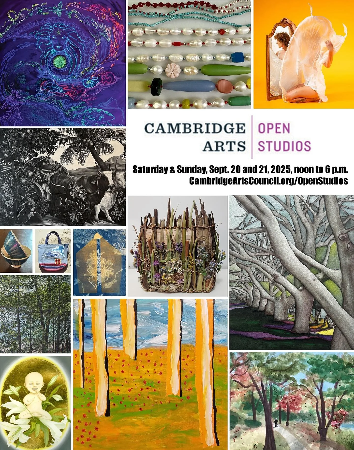 Solo show at 35 Webster Ave  as part of the Cambridge Arts Open Studios. September 20 and 21, 2025. Great art in studios and homes open to the public.