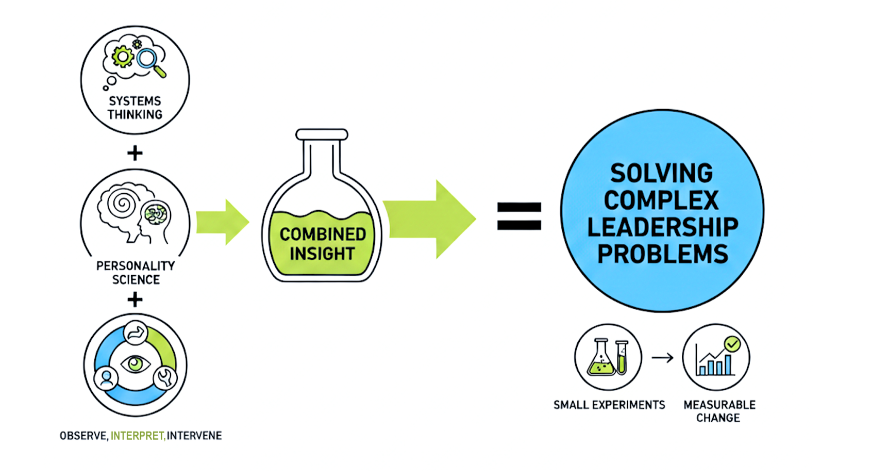 We combine systems thinking, personality science, and the Observe, Interpret, Intervene model to generate insight. Then we solve complex leadership problems through small experiments that produce measurable change.