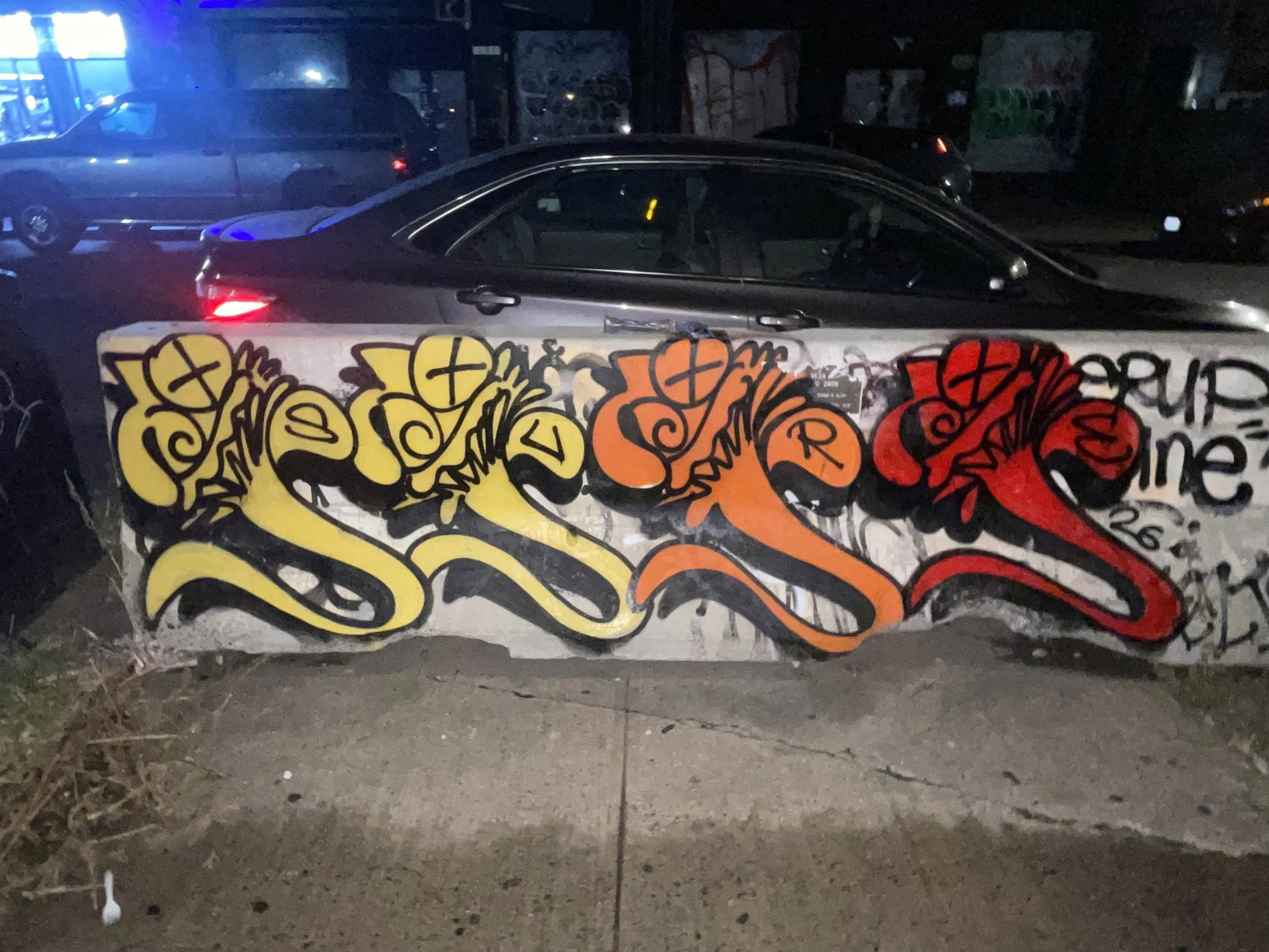 IMG_6253.jpeg
