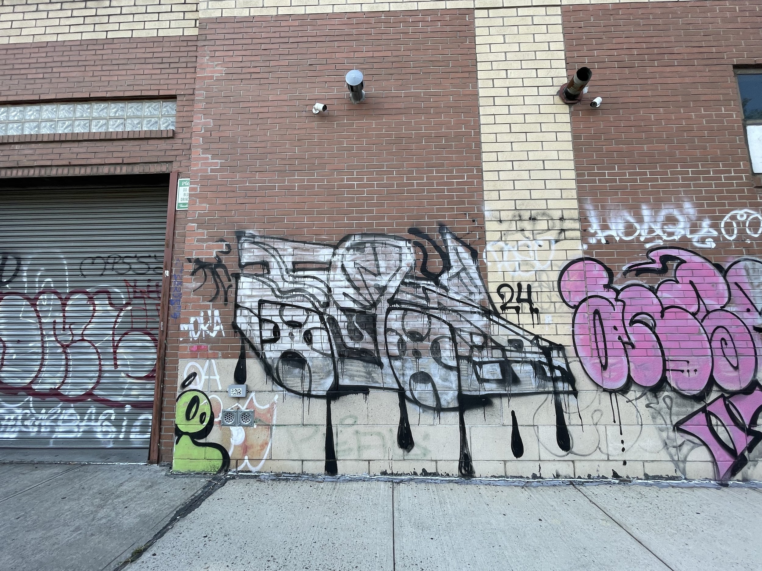 IMG_3772.jpeg