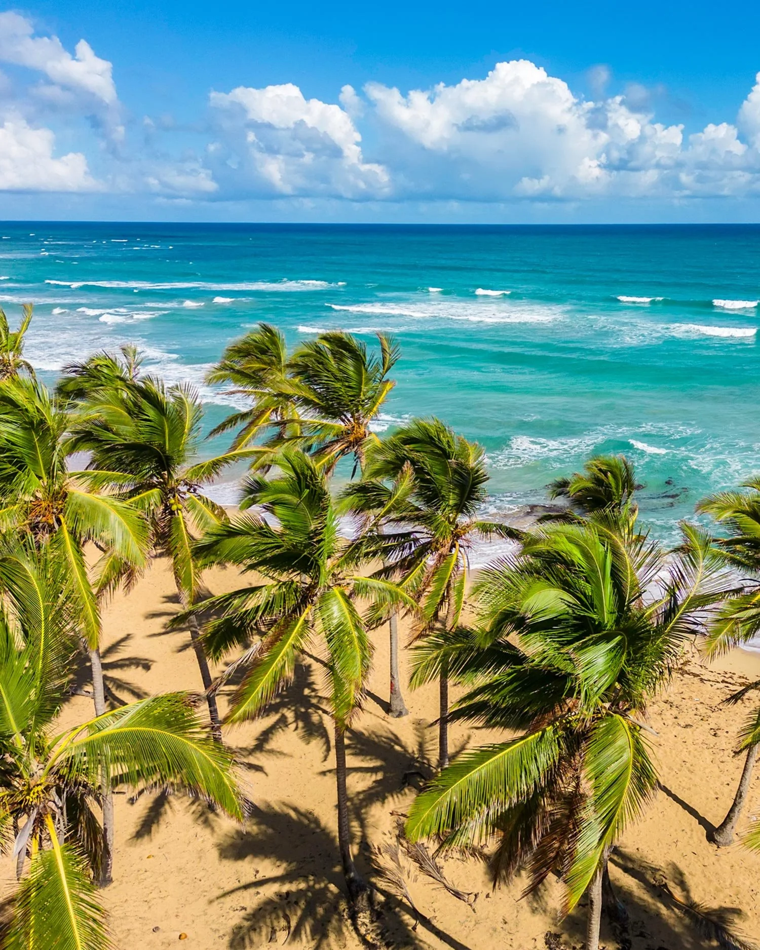 The-Reserve-at-Rocon-Cabarete-Dominican-Republic-29.jpg