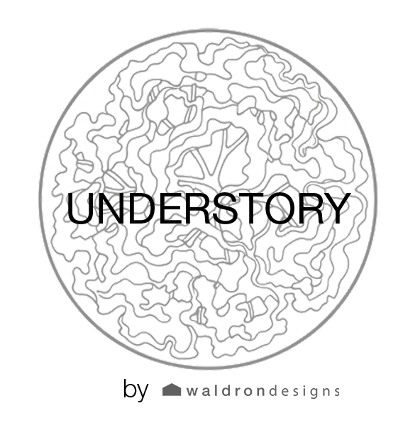 UNDERSTORY