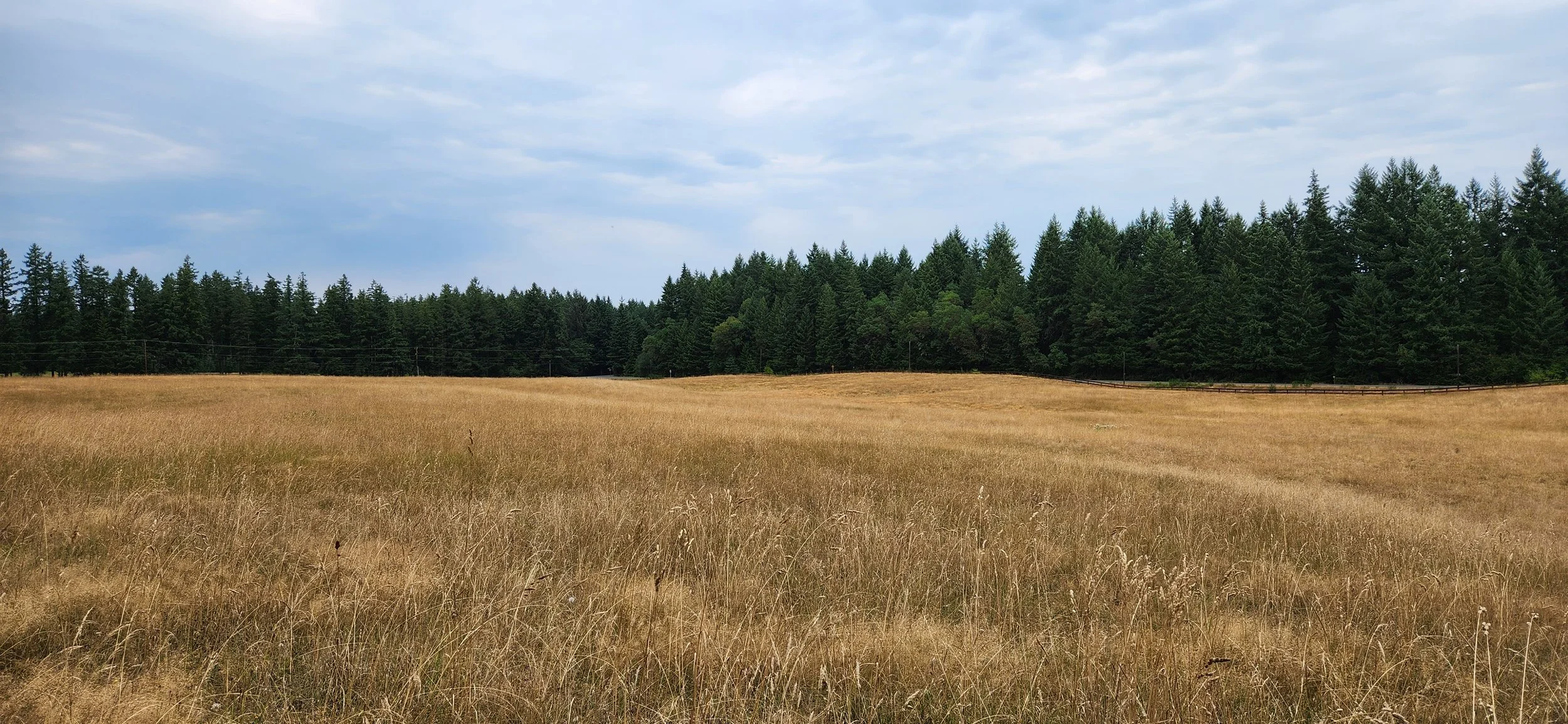 Plateau
