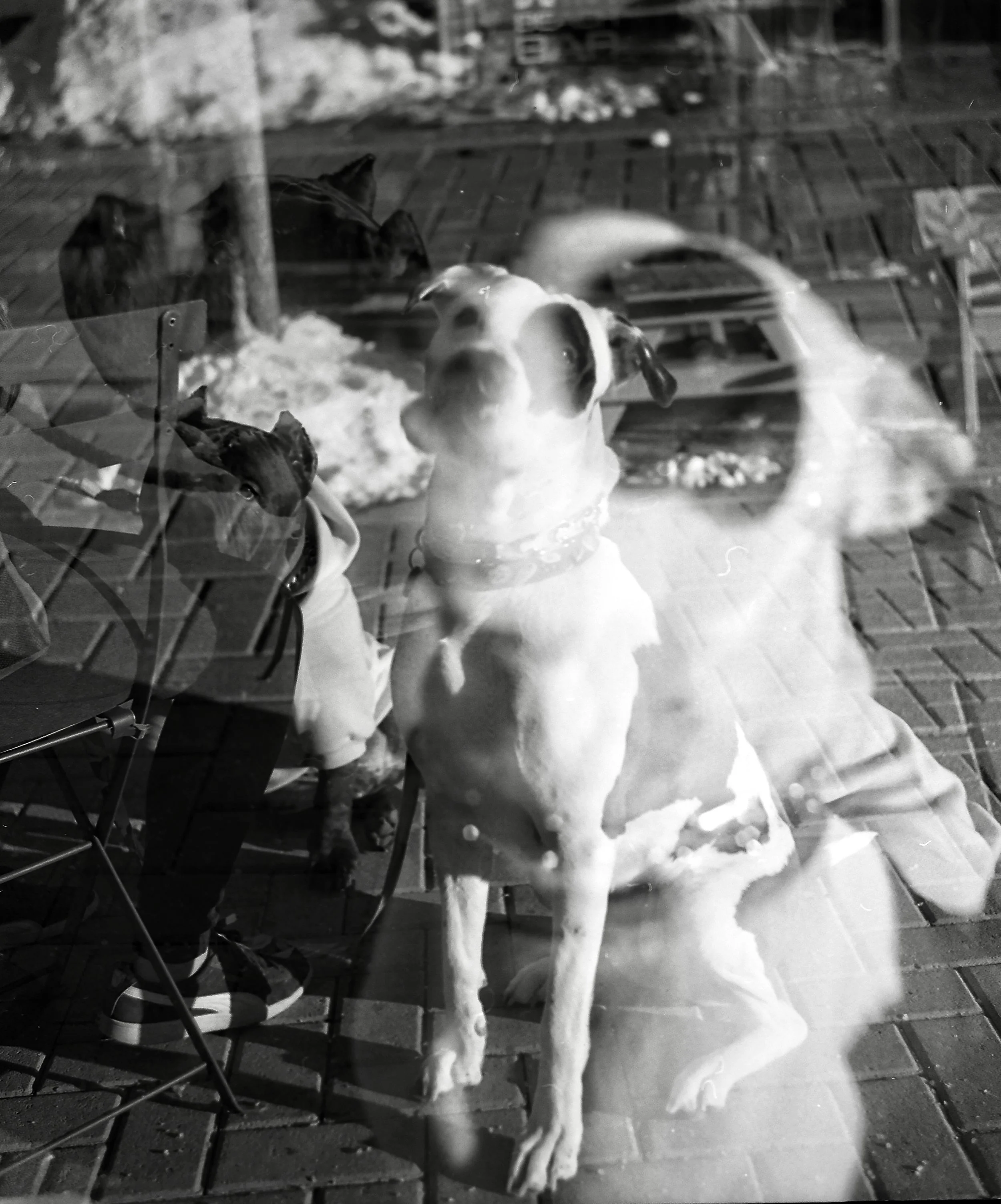 Attachment-1 11.jpeg