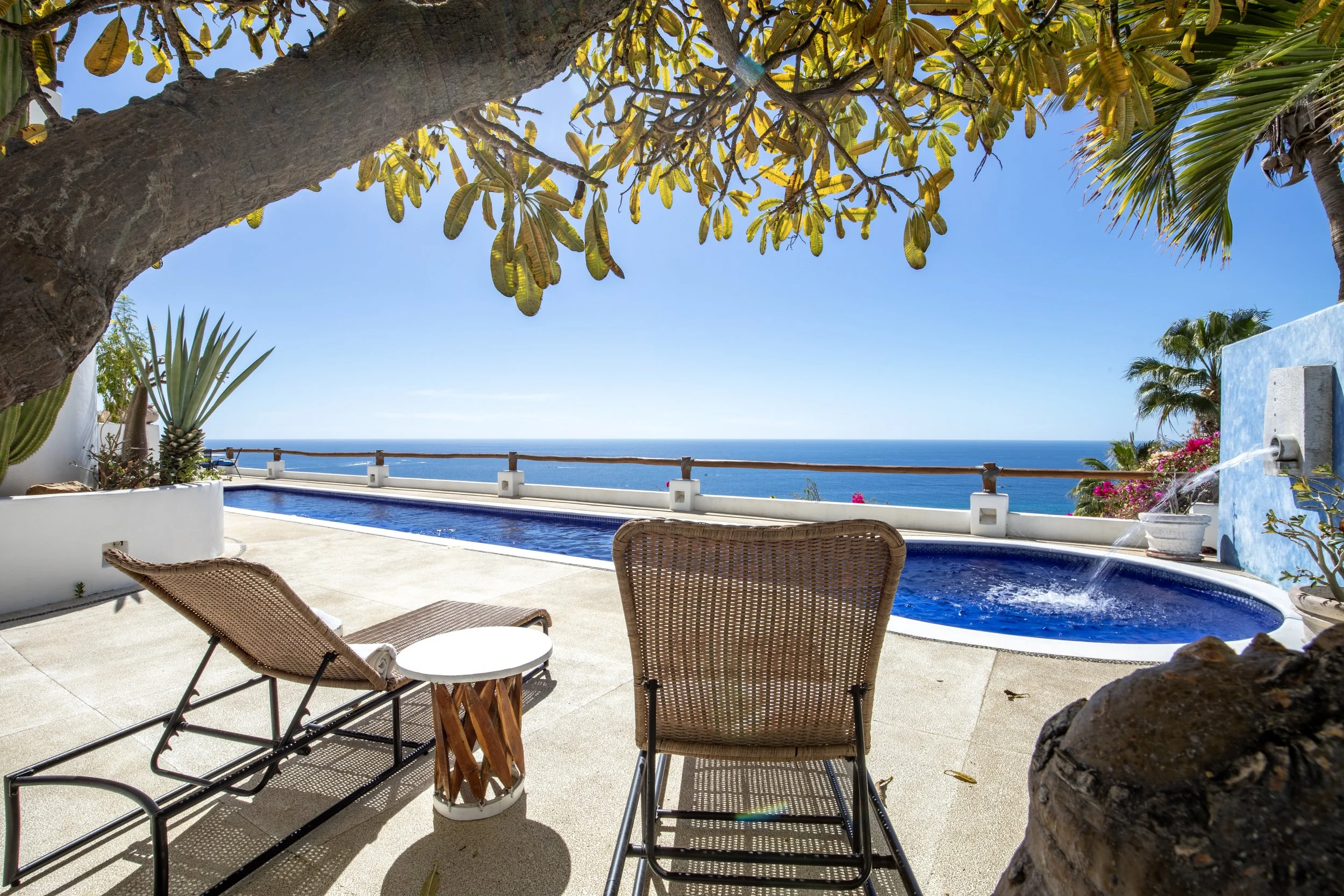 View of a luxurious outdoor infinity pool overlooking the ocean, with lounge chairs, potted plants, and shade from a large tree, under a clear blue sky.