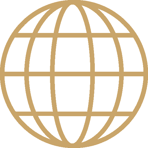 Gold globe icon with grid lines on a black background.