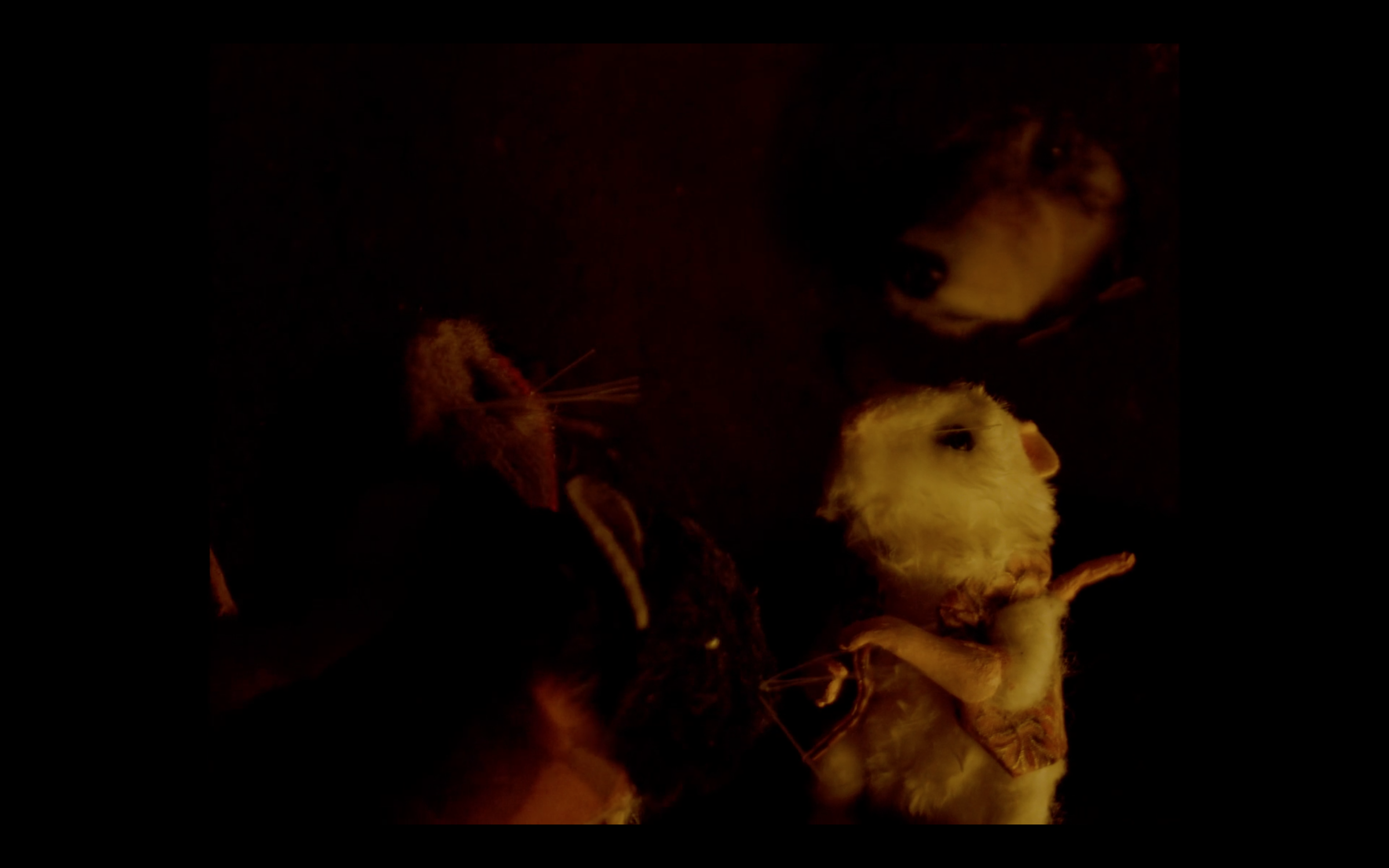 Screenshot 2026-10-19 at 21.59.33.png