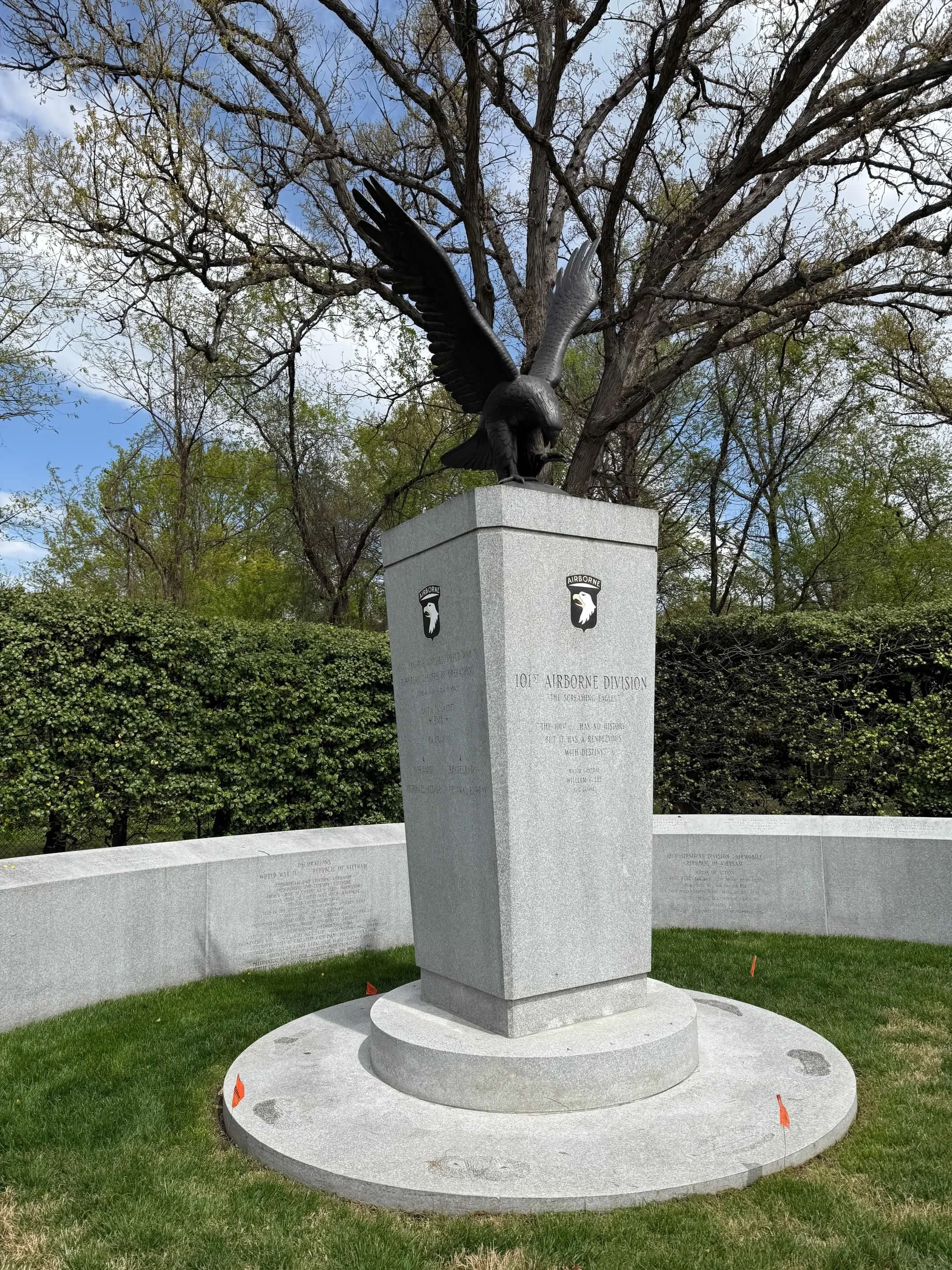 1105FEDC-C253-45DA-9CB5-22E6C921B50A.jpg