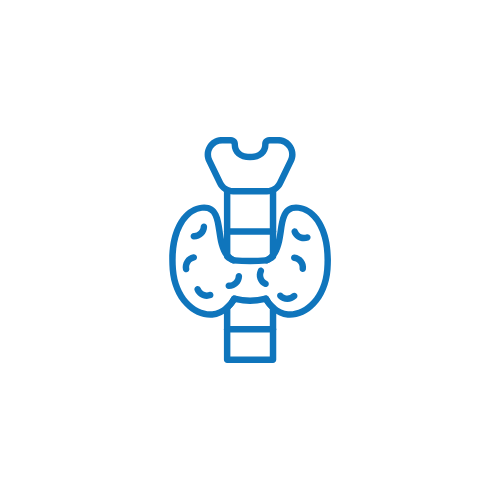 Line drawing of a human appendix and large intestine within a circular background.