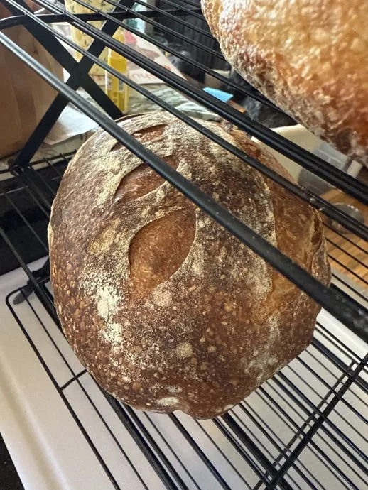 Artisan Boule