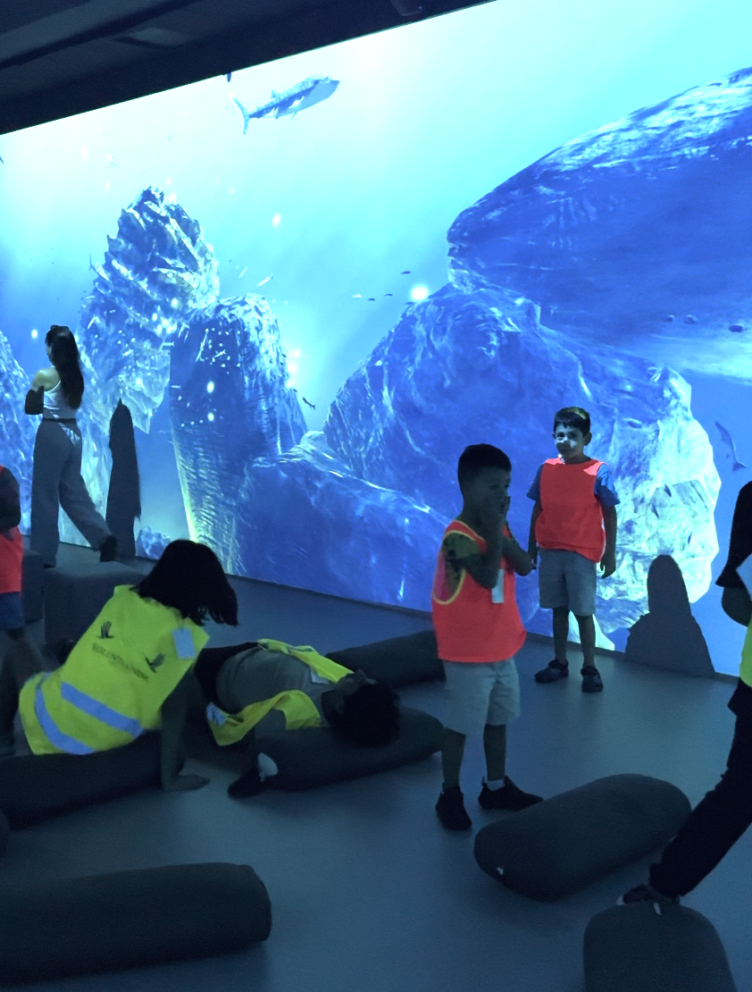 Screenshot 2026-01-15 at 01.21.42.png