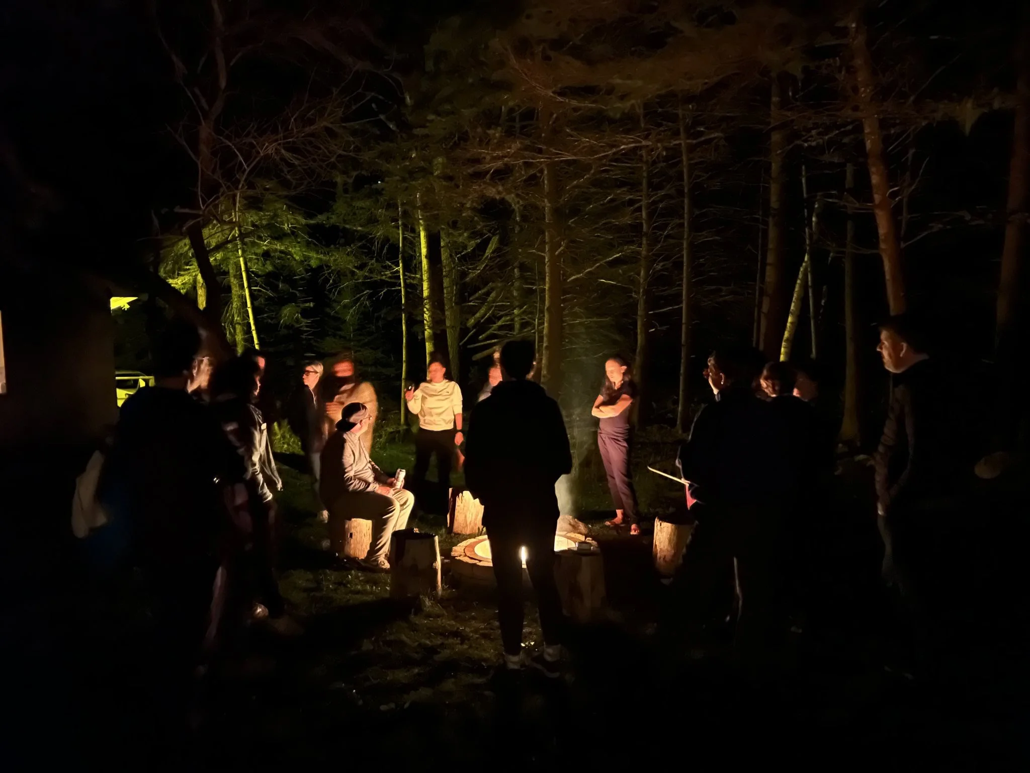 Outdoor wellness or retreat workshop for mission-driven organizations in Nevada – group of participants gathered around campfire in wooded area at night, facilitated by ALIGN Agency