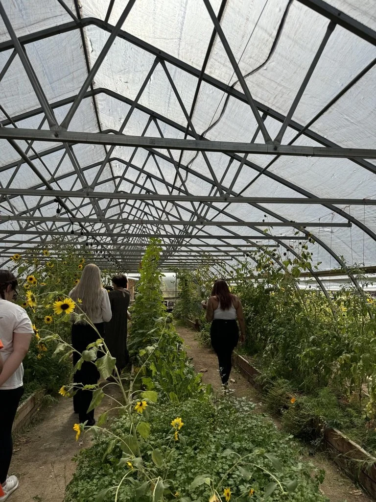 Participants exploring greenhouse filled with sunflowers and plants during a wellness workshop for mission-driven organizations in Nevada – facilitated by ALIGN Agency