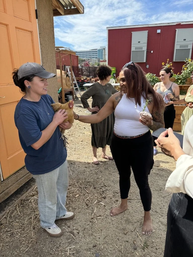 Outdoor wellness or community engagement activity for mission-driven organizations in Nevada – participants interacting with animals facilitated by ALIGN Agency