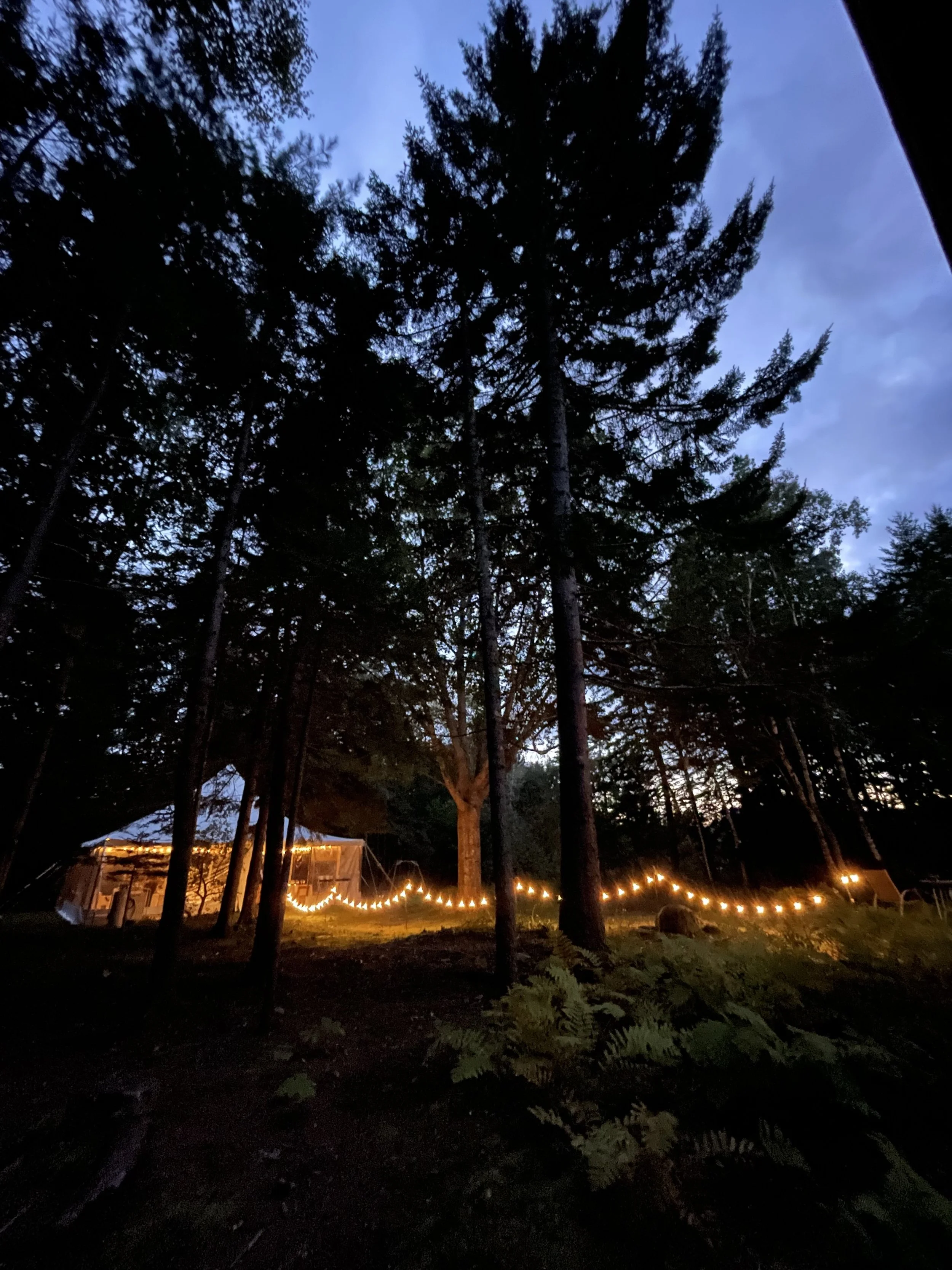 Nighttime outdoor wellness or retreat workshop for mission-driven organizations in Nevada – tent or structure illuminated by string lights among tall trees, facilitated by ALIGN Agency